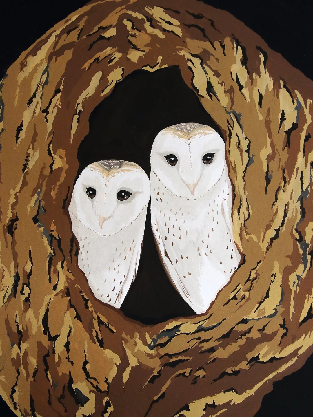melissa boardman barn owl original 02.jpg