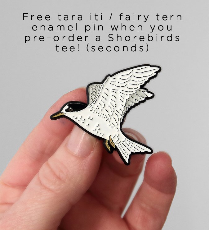 melissa boardman fairy tern pin giveaway copy.jpg