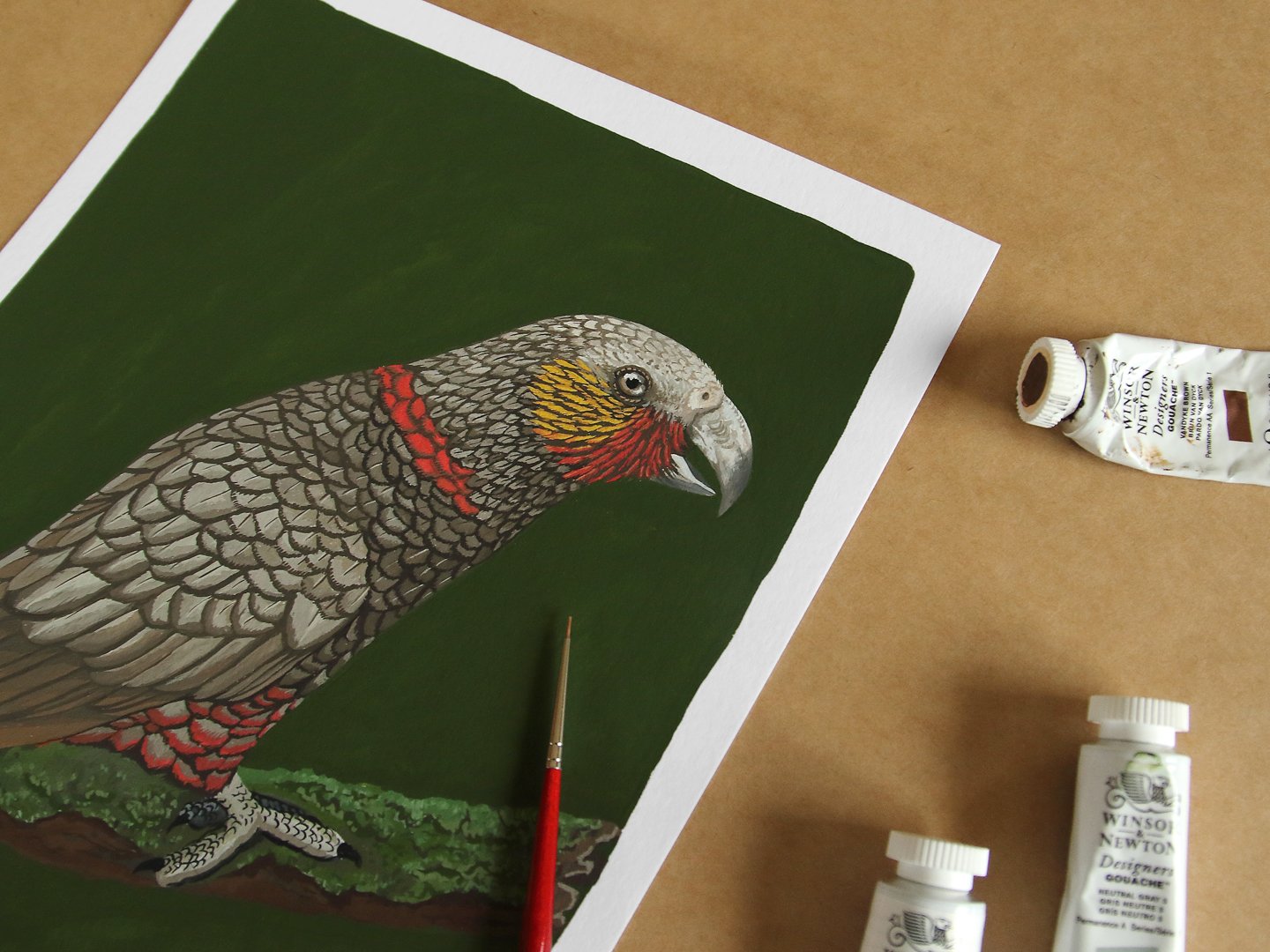 melissa boardman kaka original 04.jpg