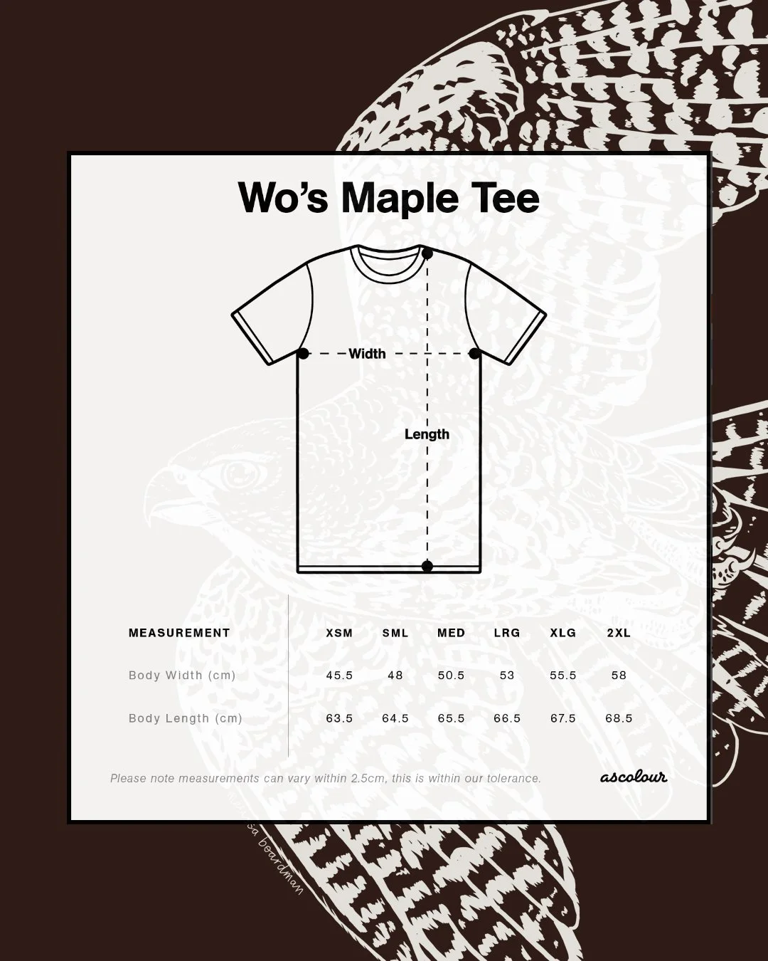 melissa boardman falcon tee womens 03 sizing.jpg