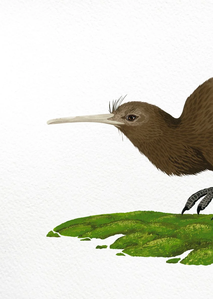 melissa boardman kiwi nui 04.jpg