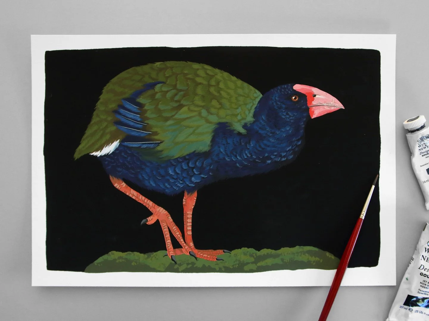 Takahē | NZ Bird Original Hand-painted Gouache Illustration
