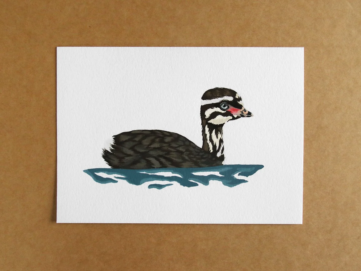 melissa boardman dabchick chick 01c.jpg