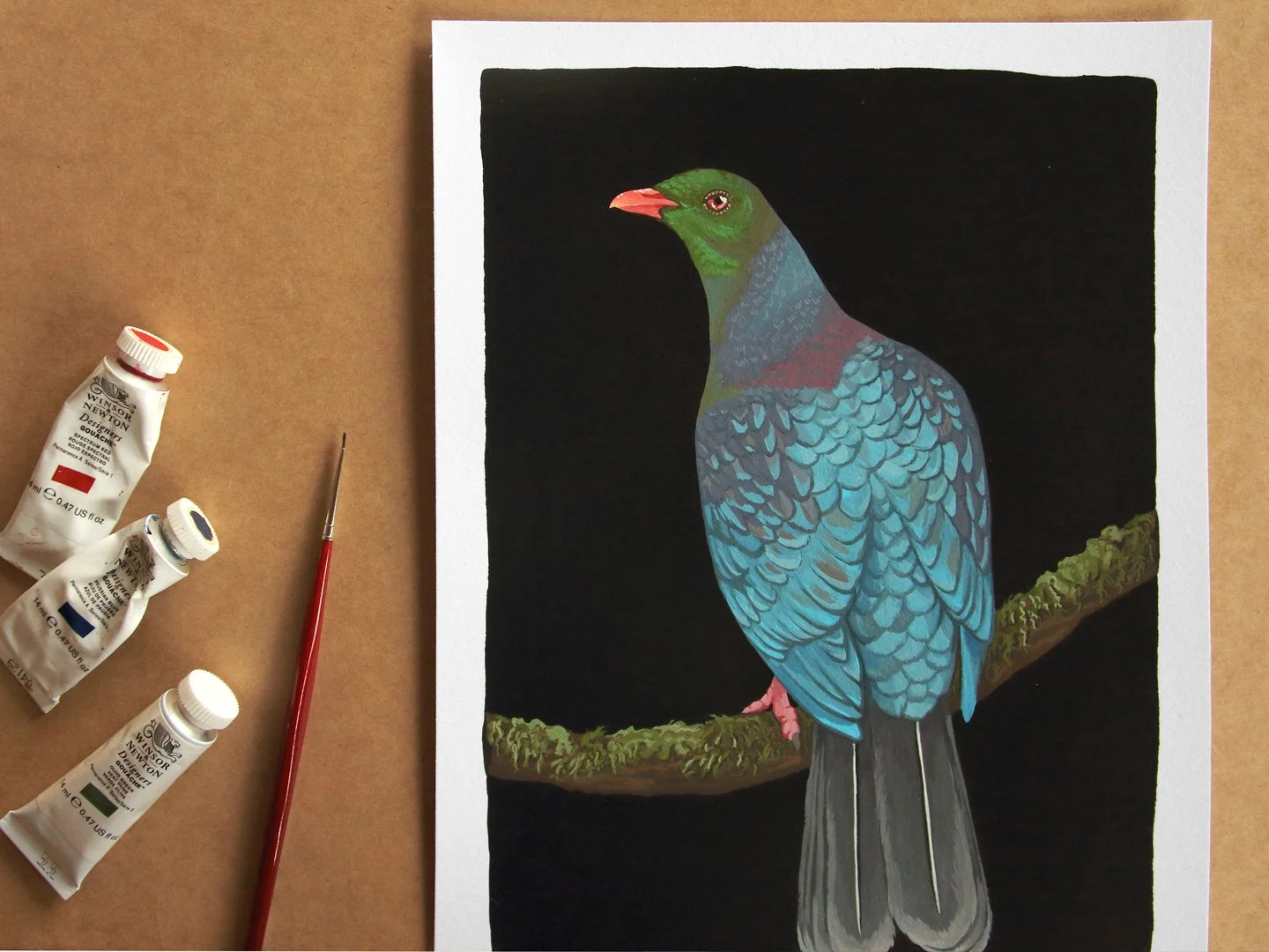 melissa boardman kereru 02b.jpg