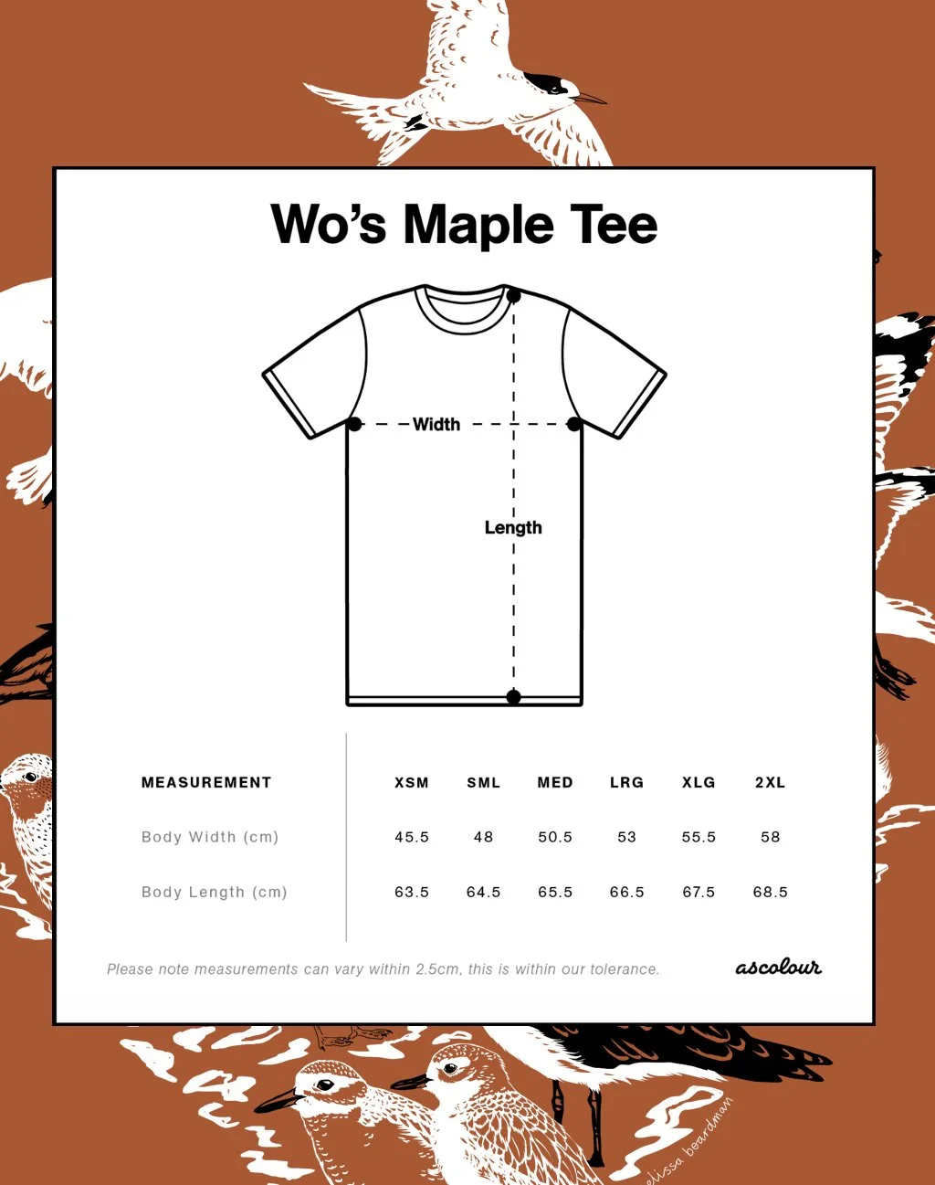 melissa boardman womens shorebird tee 03.jpg