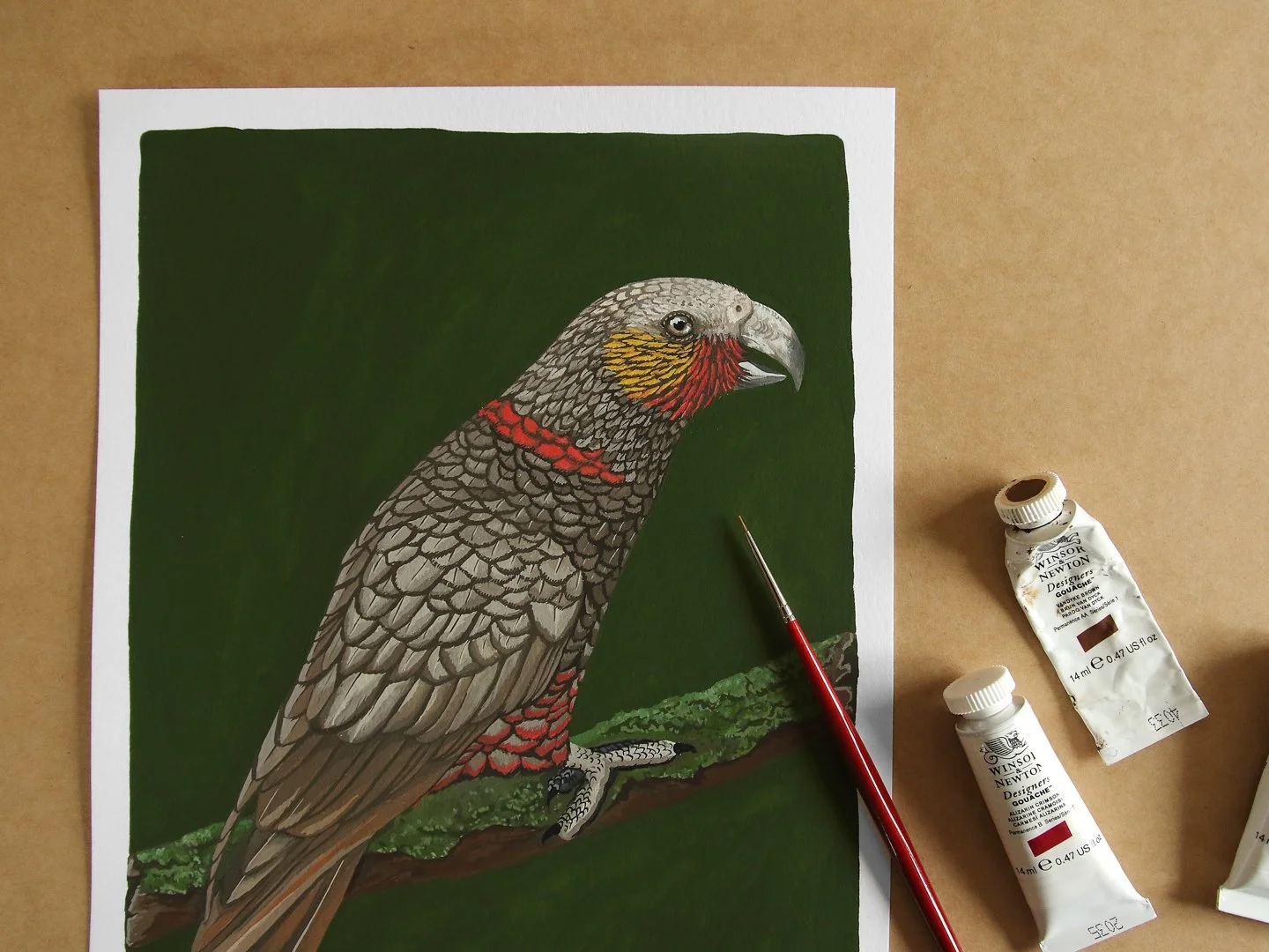 Kākā | NZ Bird Original Hand-painted Gouache Illustration