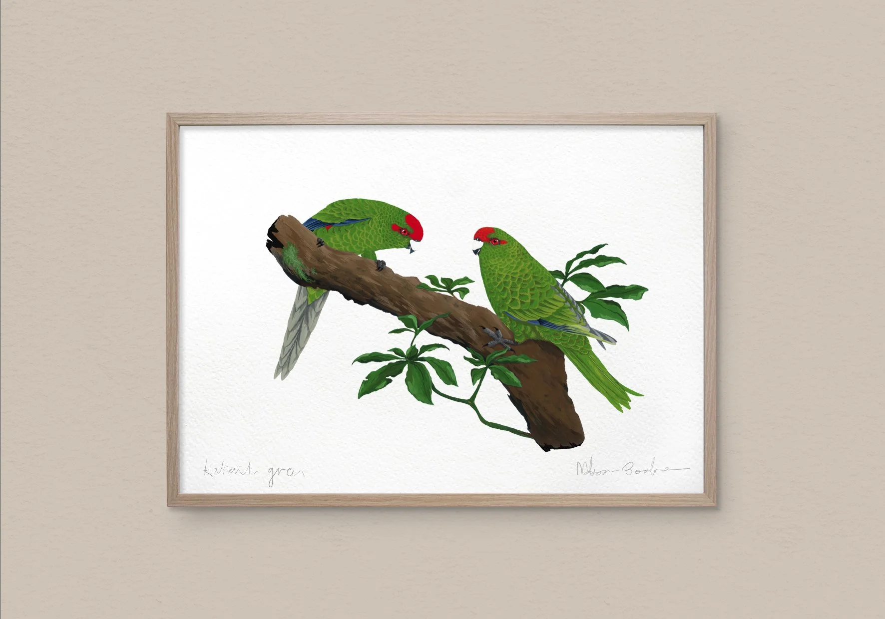 Kākāriki green / Red-crowned parakeet / kākāriki | New Zealand bird illustration art print