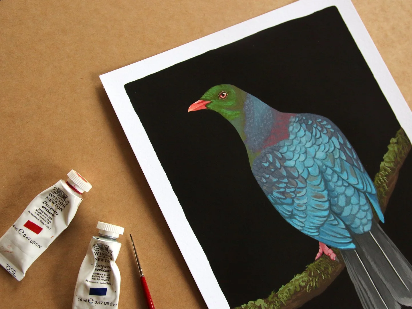 melissa boardman kereru 02c.jpg