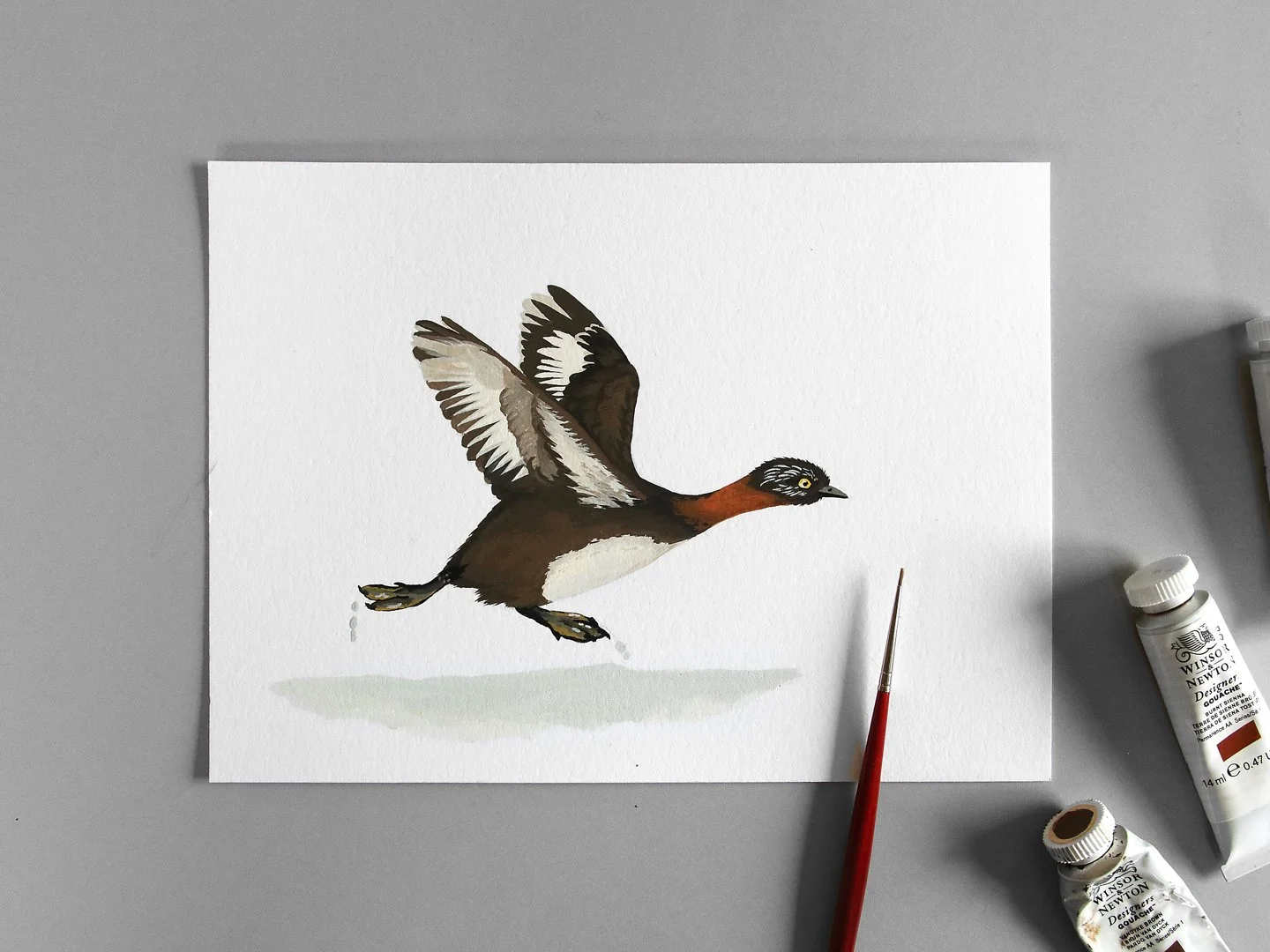 Weweia / dabchick flying | C | NZ Bird Original Hand-painted Gouache Illustration