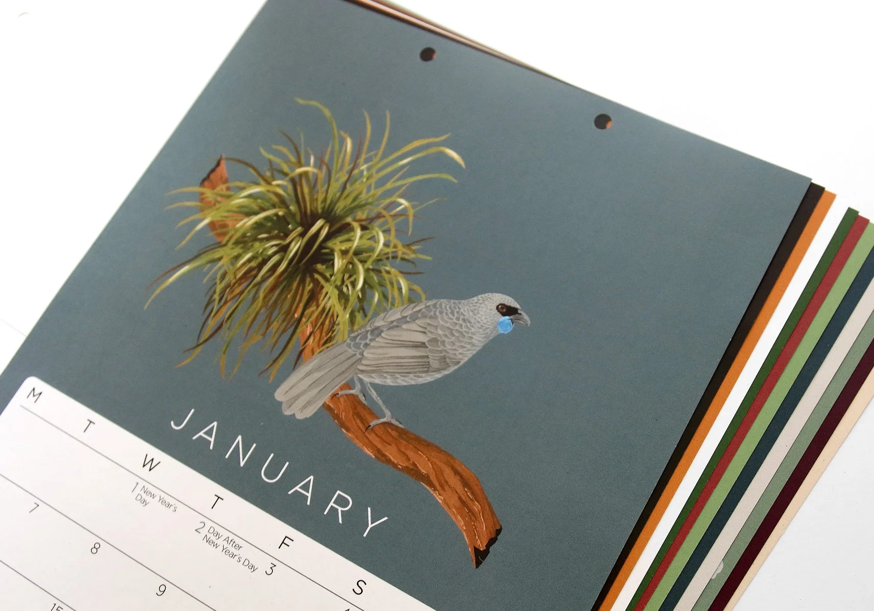 melissa boardman a4 calendar 16.jpg