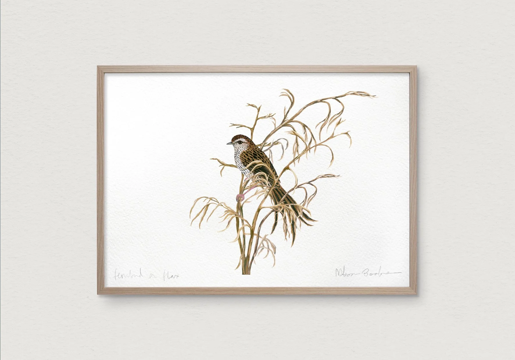 melissa boardman fernbird print 01 sig.jpg