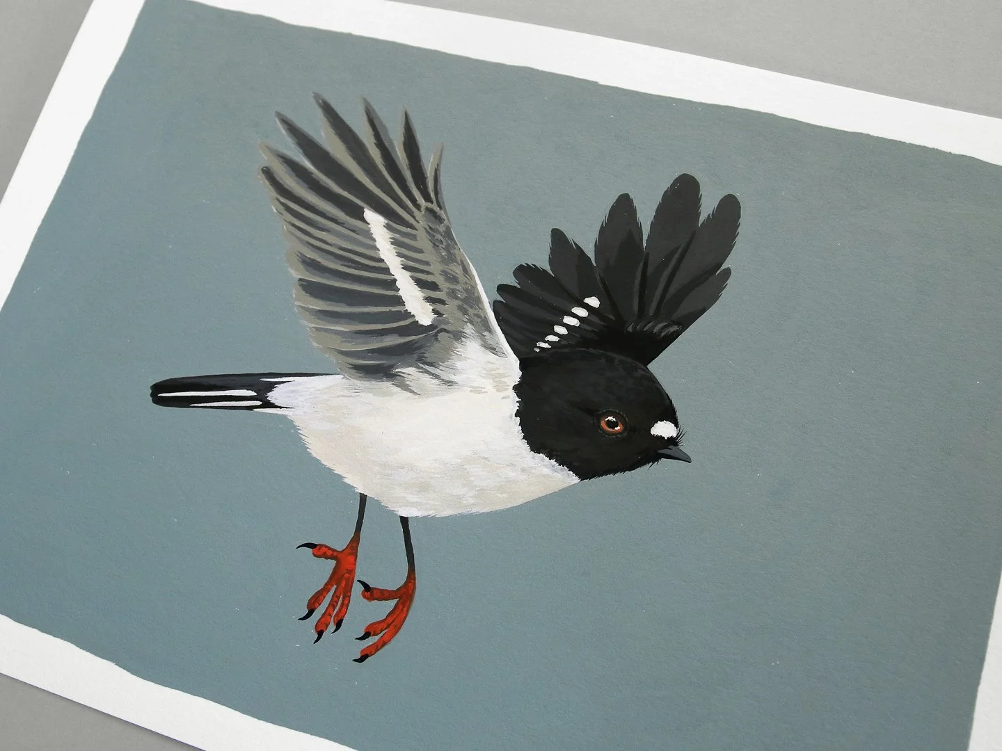 melissa boardman tomtit original 04.jpg