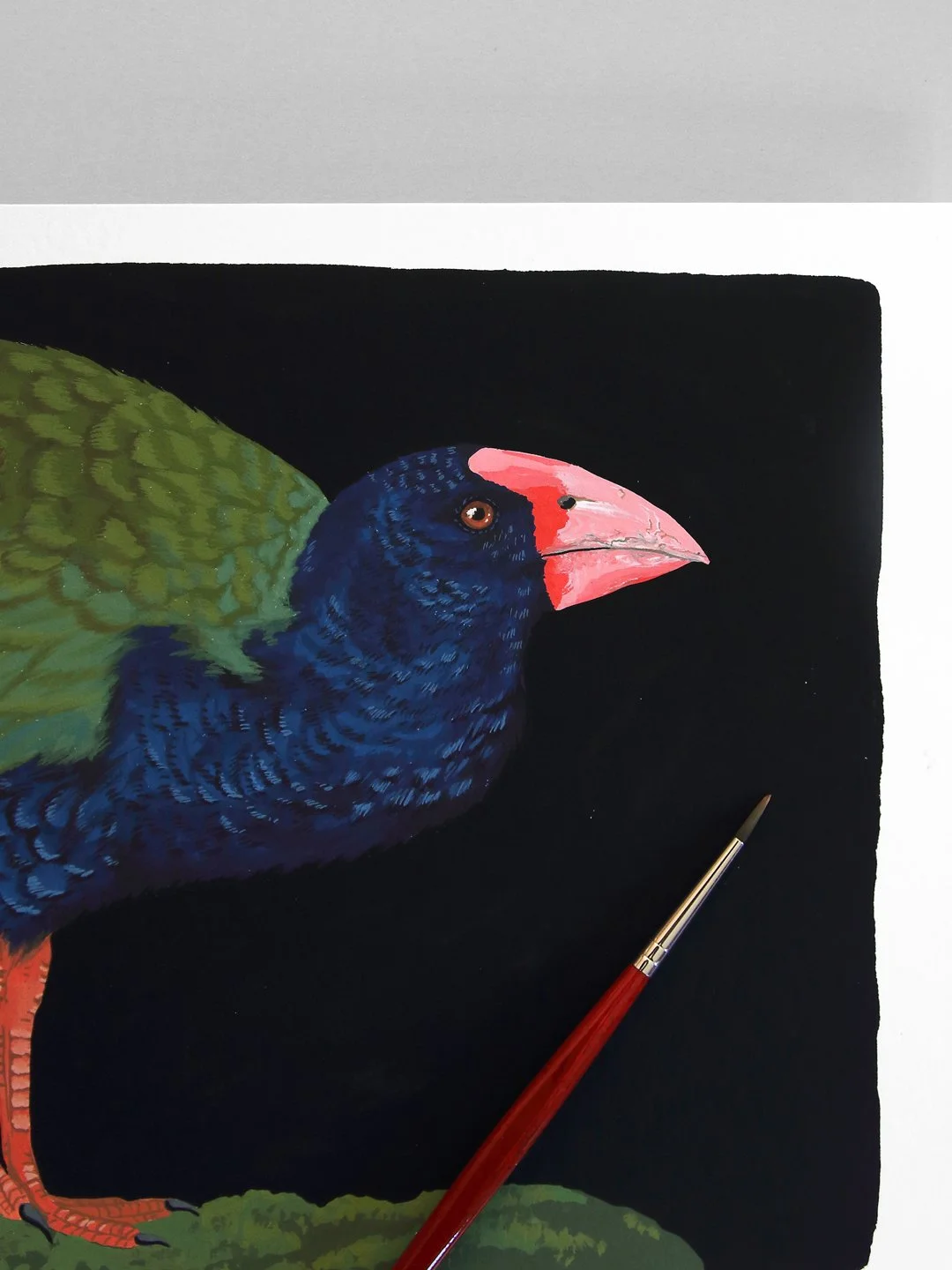 melissa boardman takahe original 04.jpg