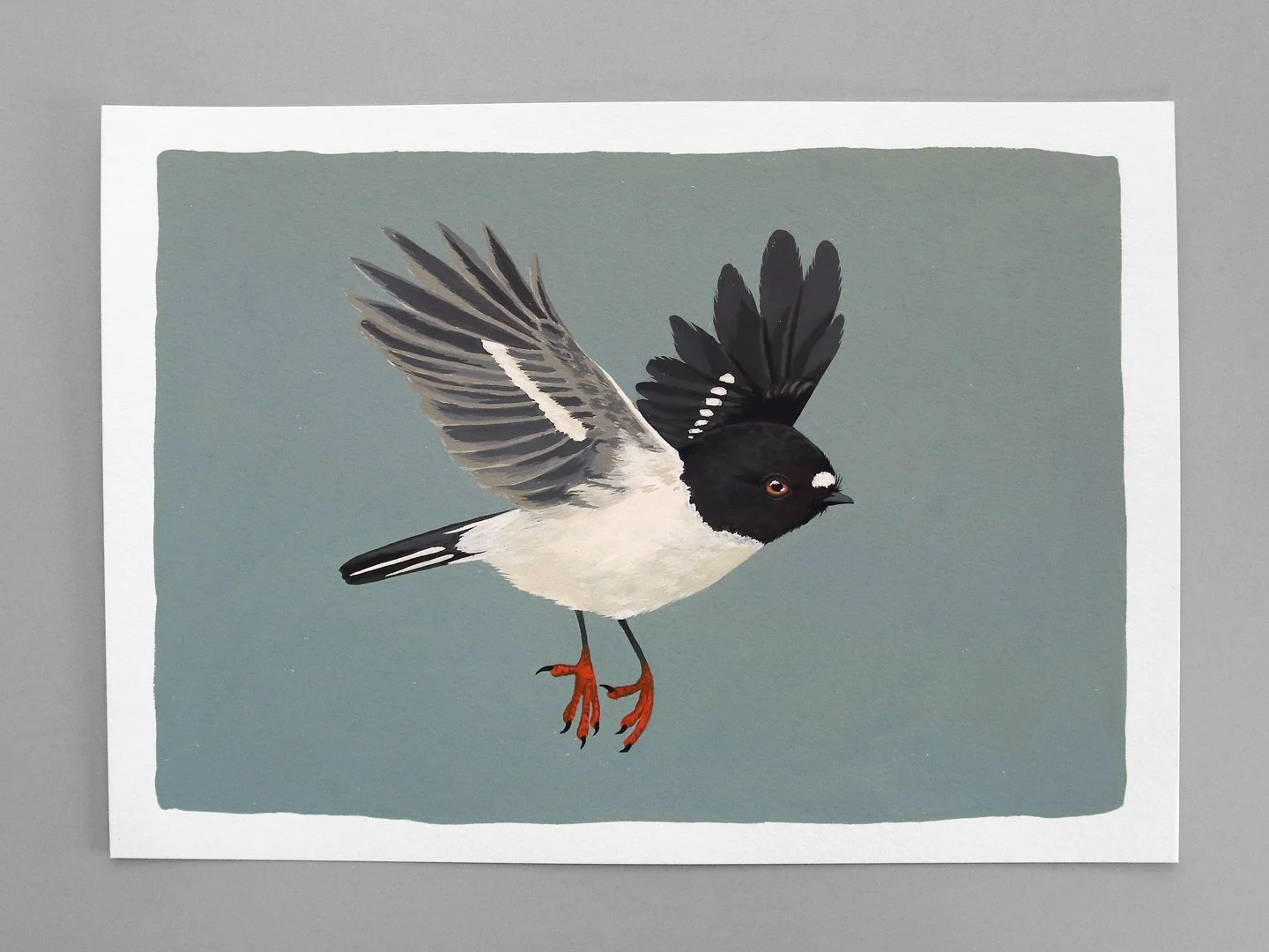 melissa boardman tomtit original 03.jpg