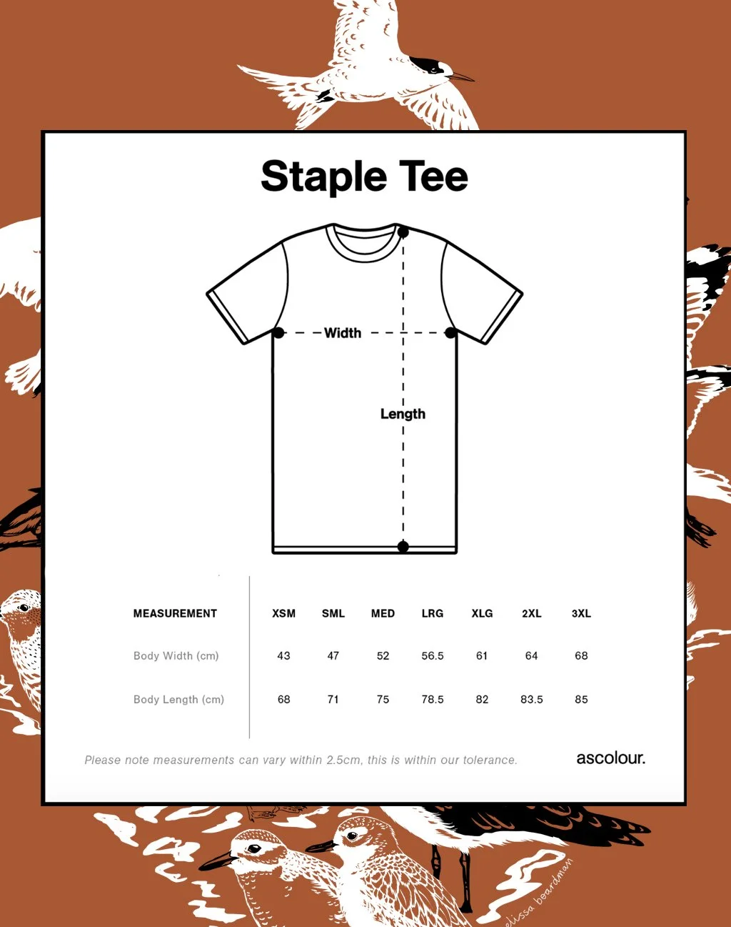 melissa boardman mens shorebird tee 03.jpg