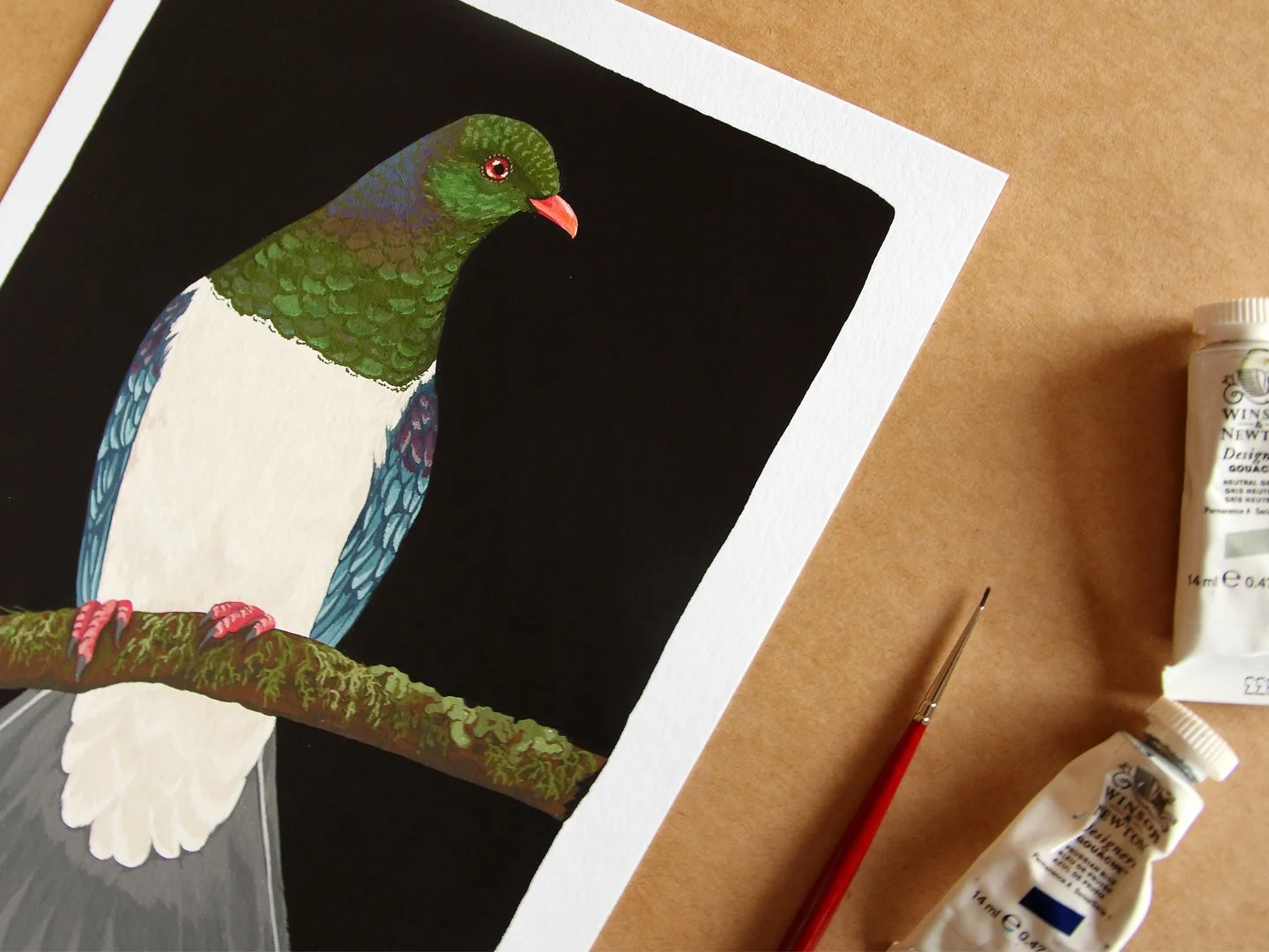 melissa boardman kereru 01c.jpg
