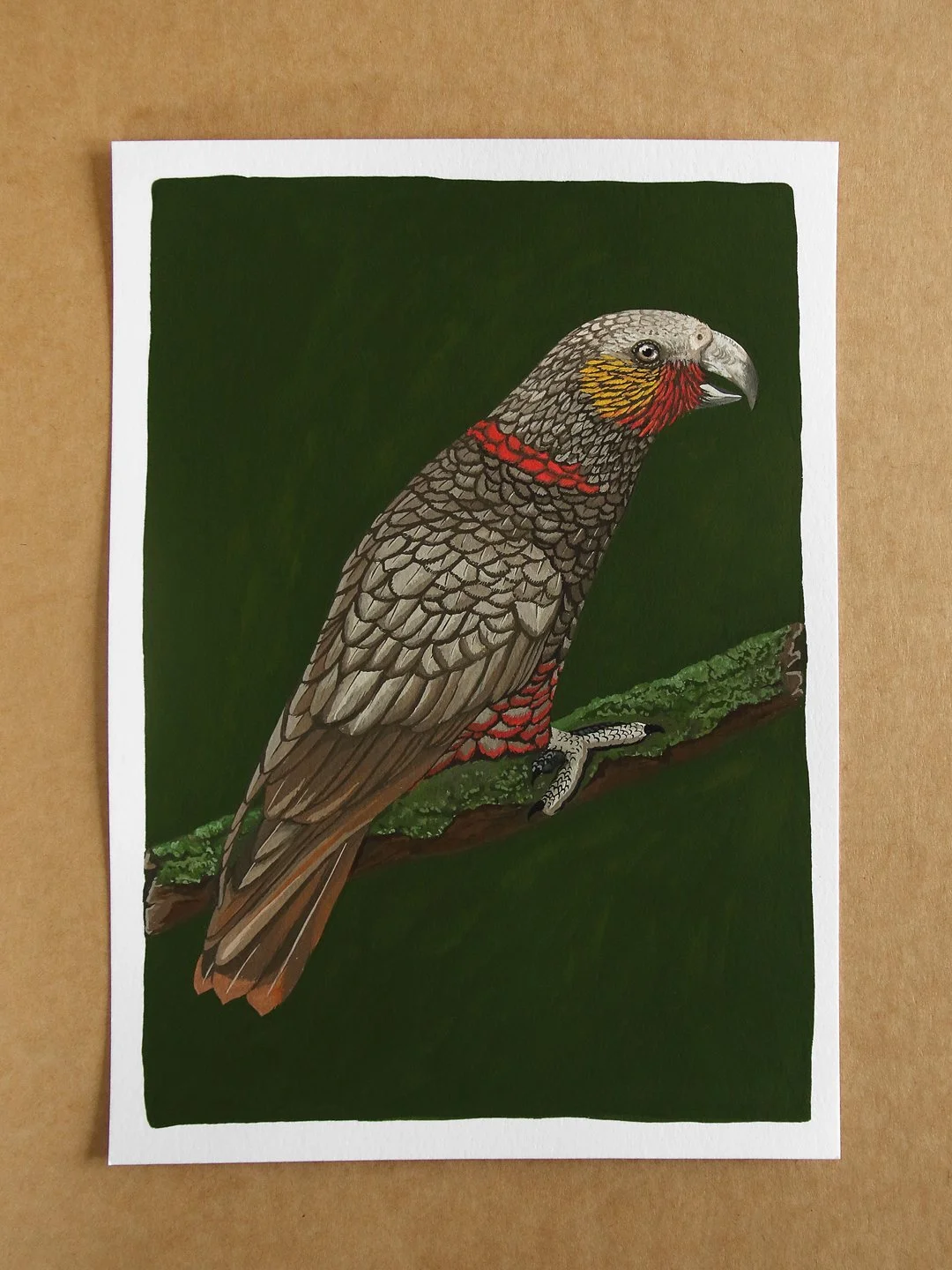 melissa boardman kaka original 05.jpg