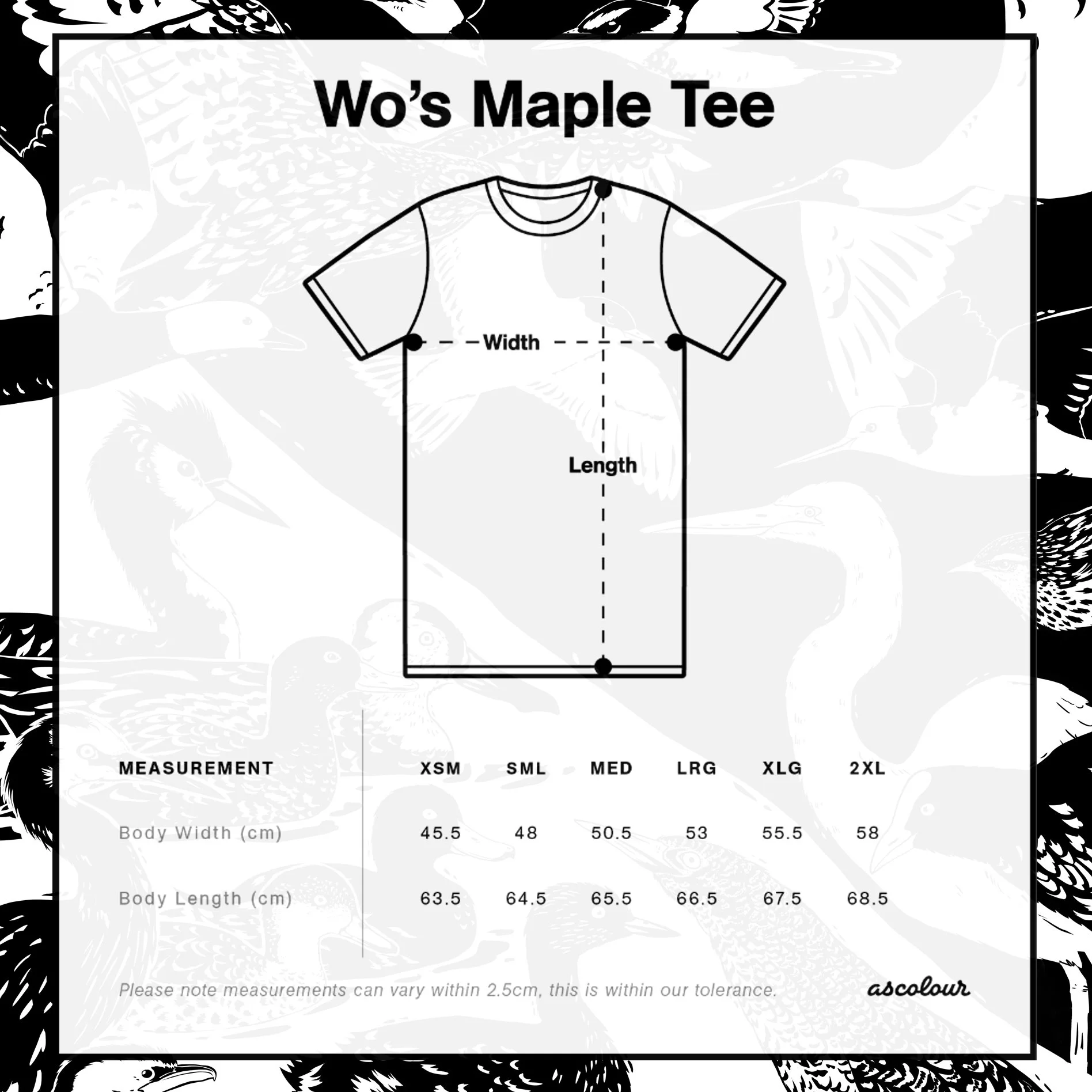 melissa boardman wetland tee womens mineral 03.jpg