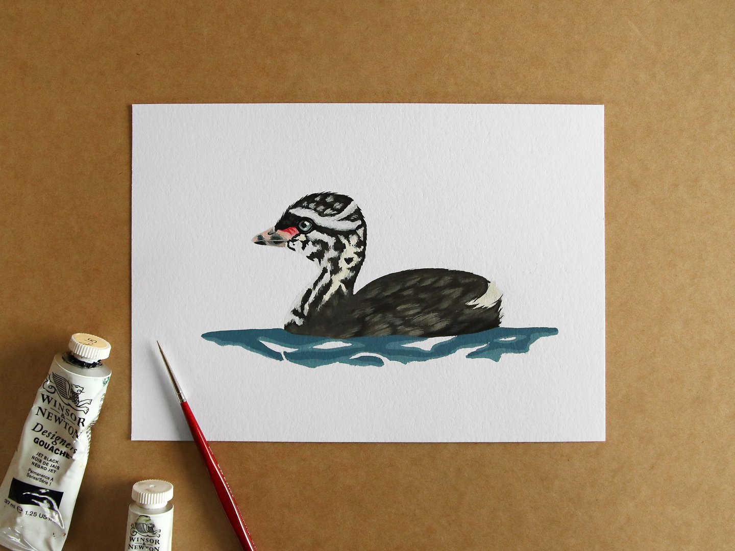 melissa boardman dabchick chick 02b.jpg