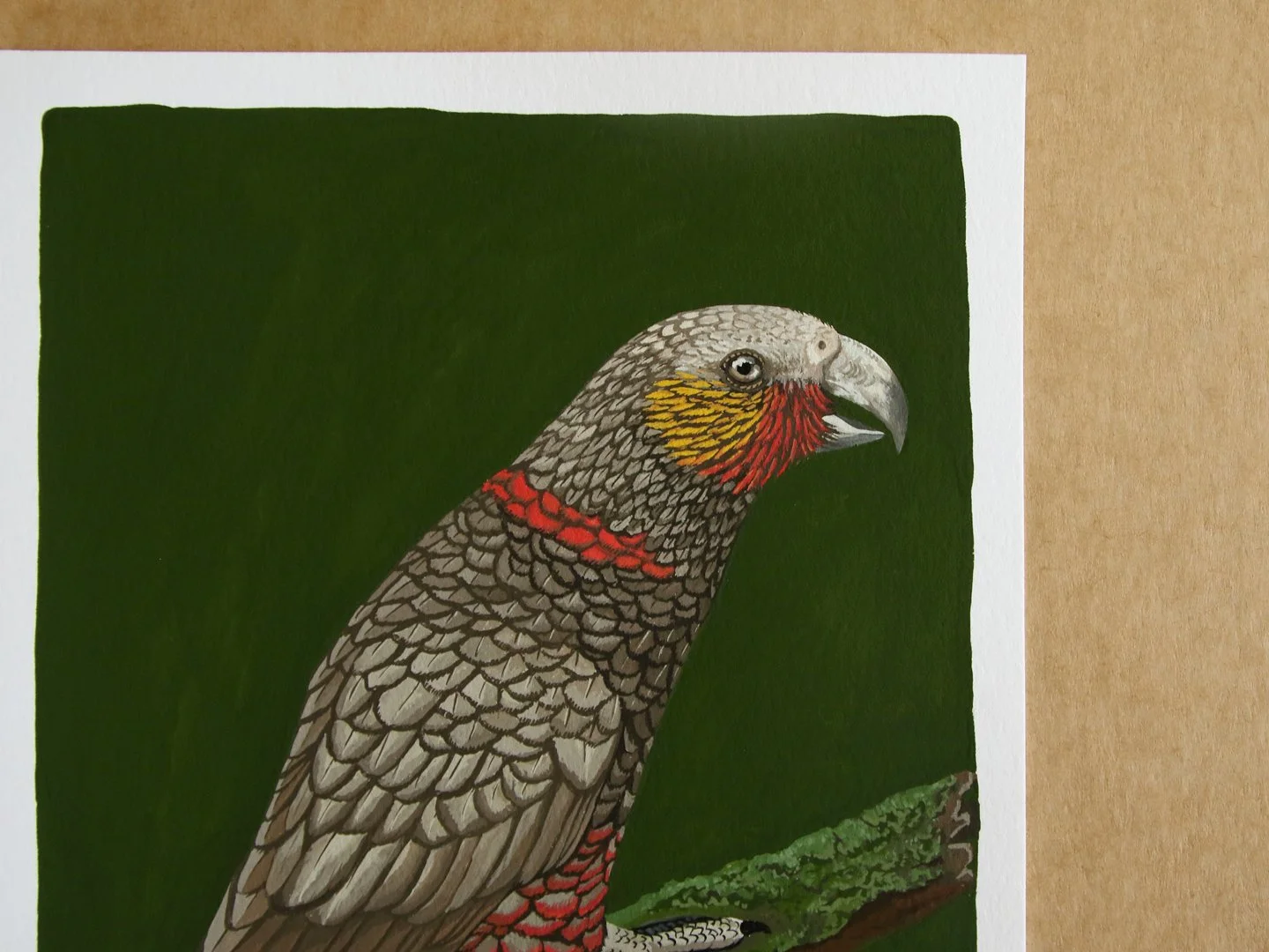 melissa boardman kaka original 02.jpg