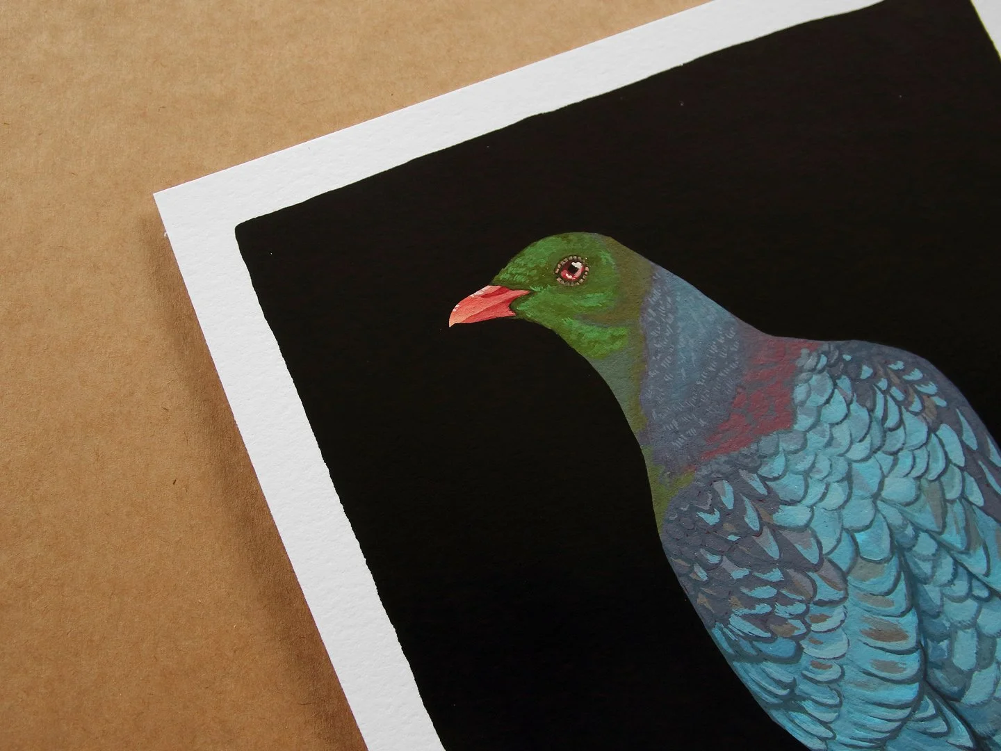 melissa boardman kereru 02a.jpg