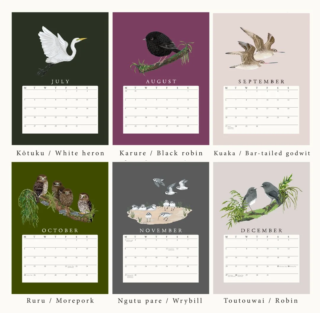 A3 CALENDAR ALL B MELISSA BOARDMAN copy.jpg