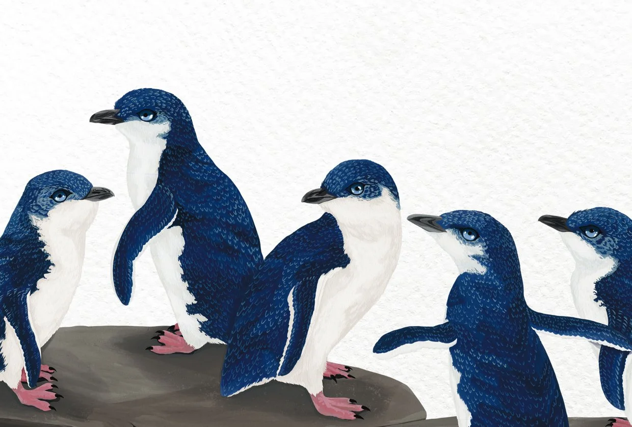 melissa boardman lbp 04.jpg