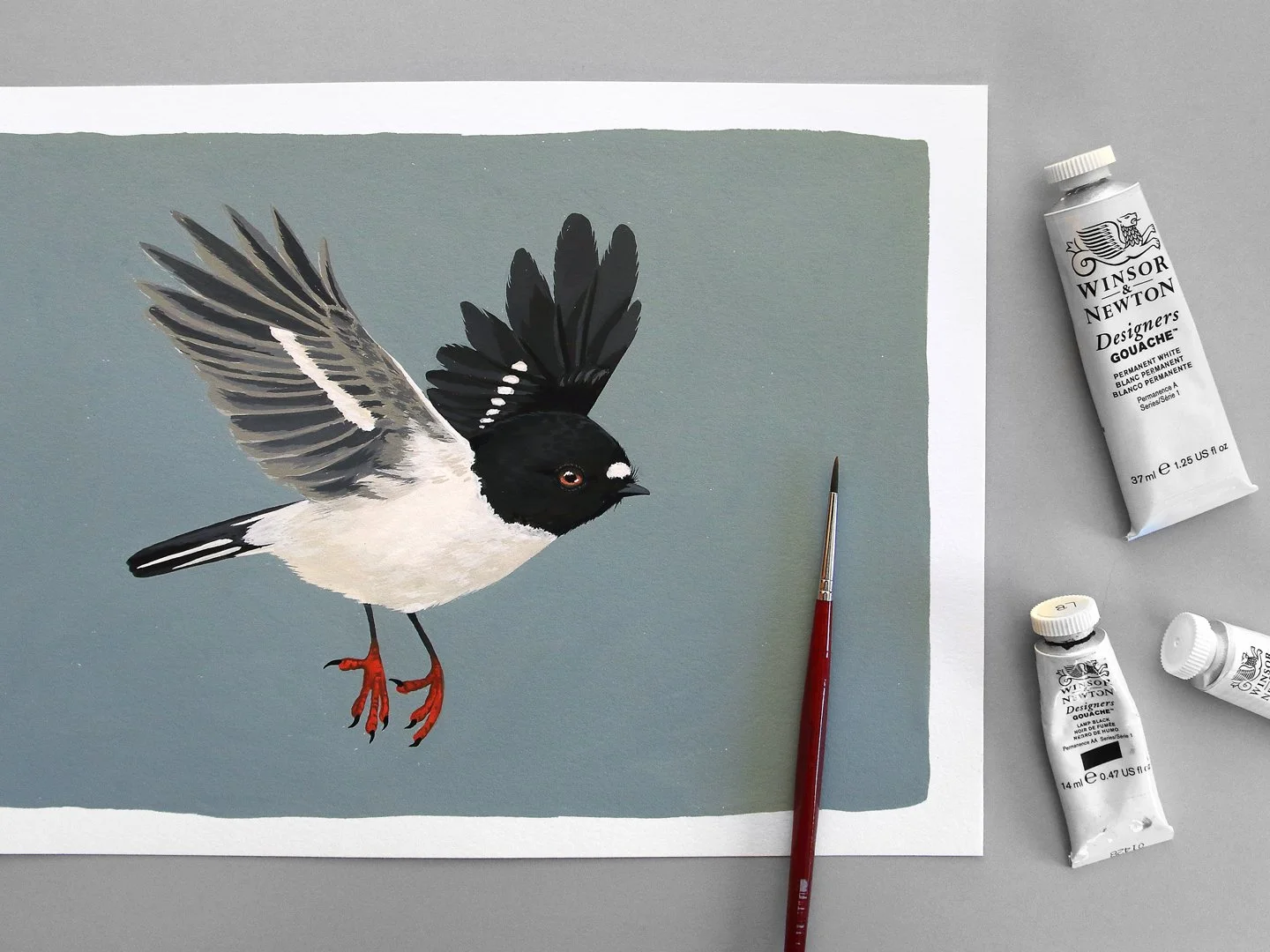 Flying miromiro / tomtit | NZ Bird Original Hand-painted Gouache Illustration