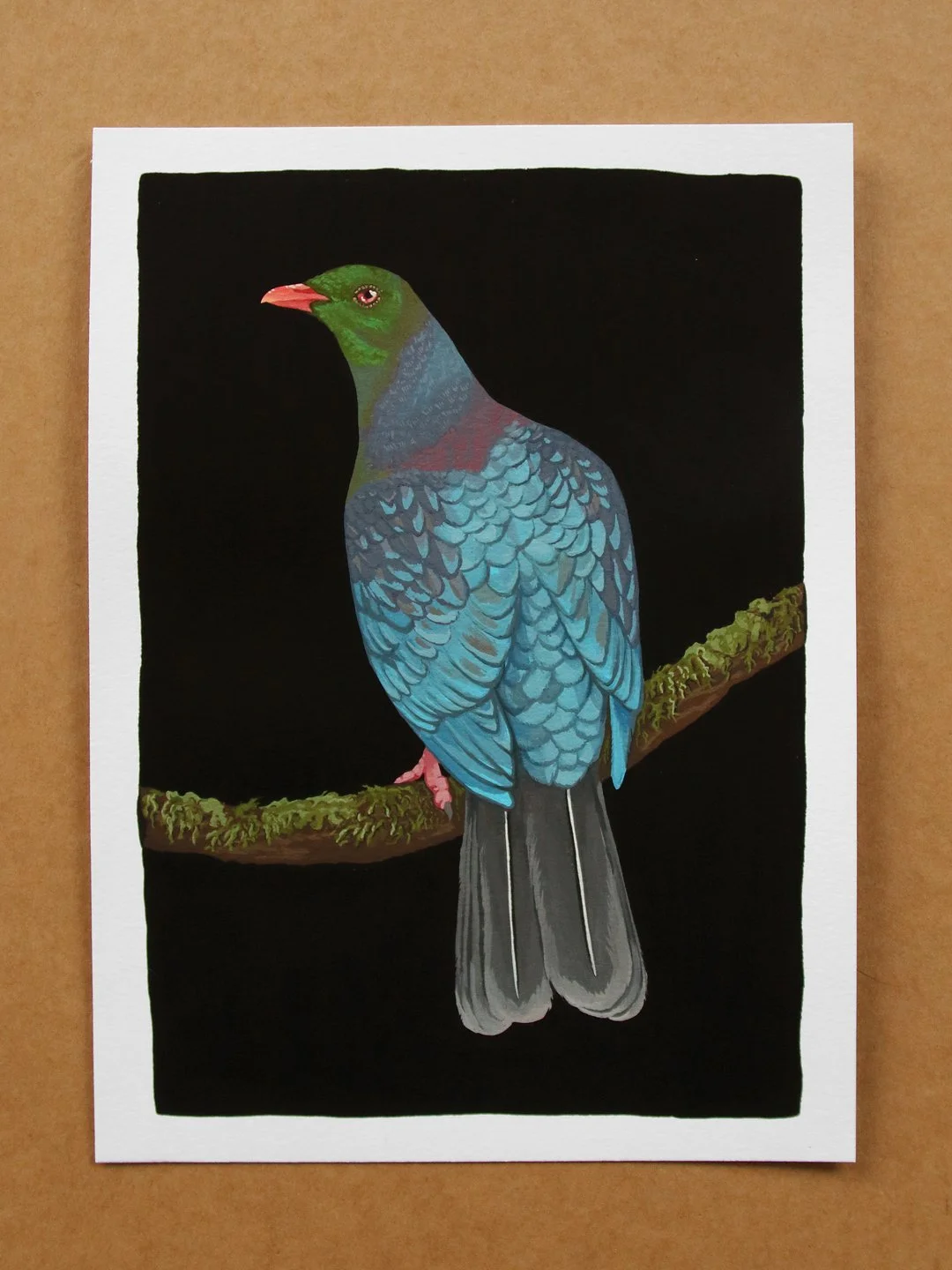 melissa boardman kereru 02.jpg