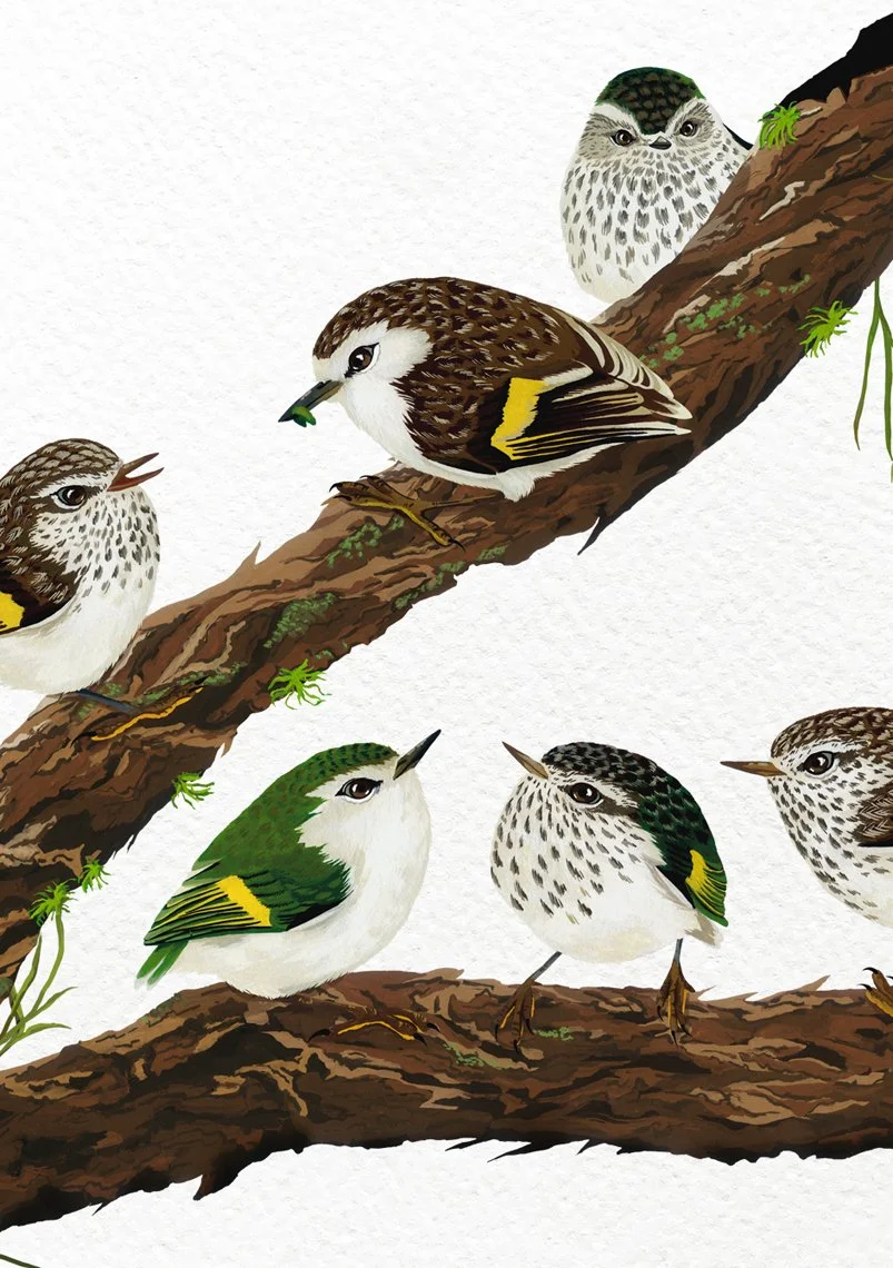 melissa boardman ttp family 04.jpg