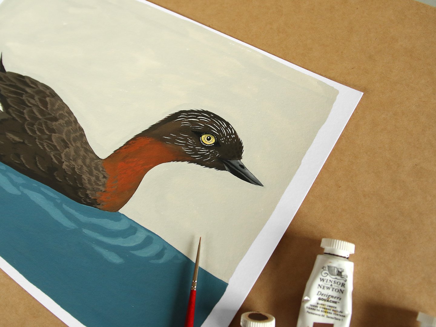 melissa boardman dabchick on lake 02.jpg