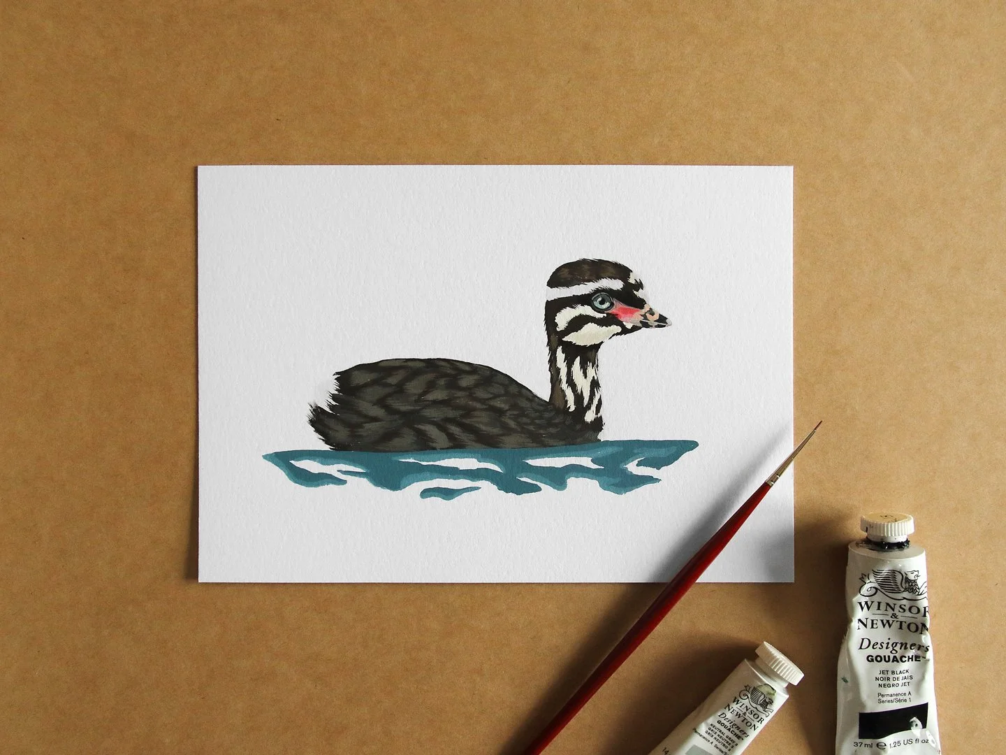melissa boardman dabchick chick 01a.jpg