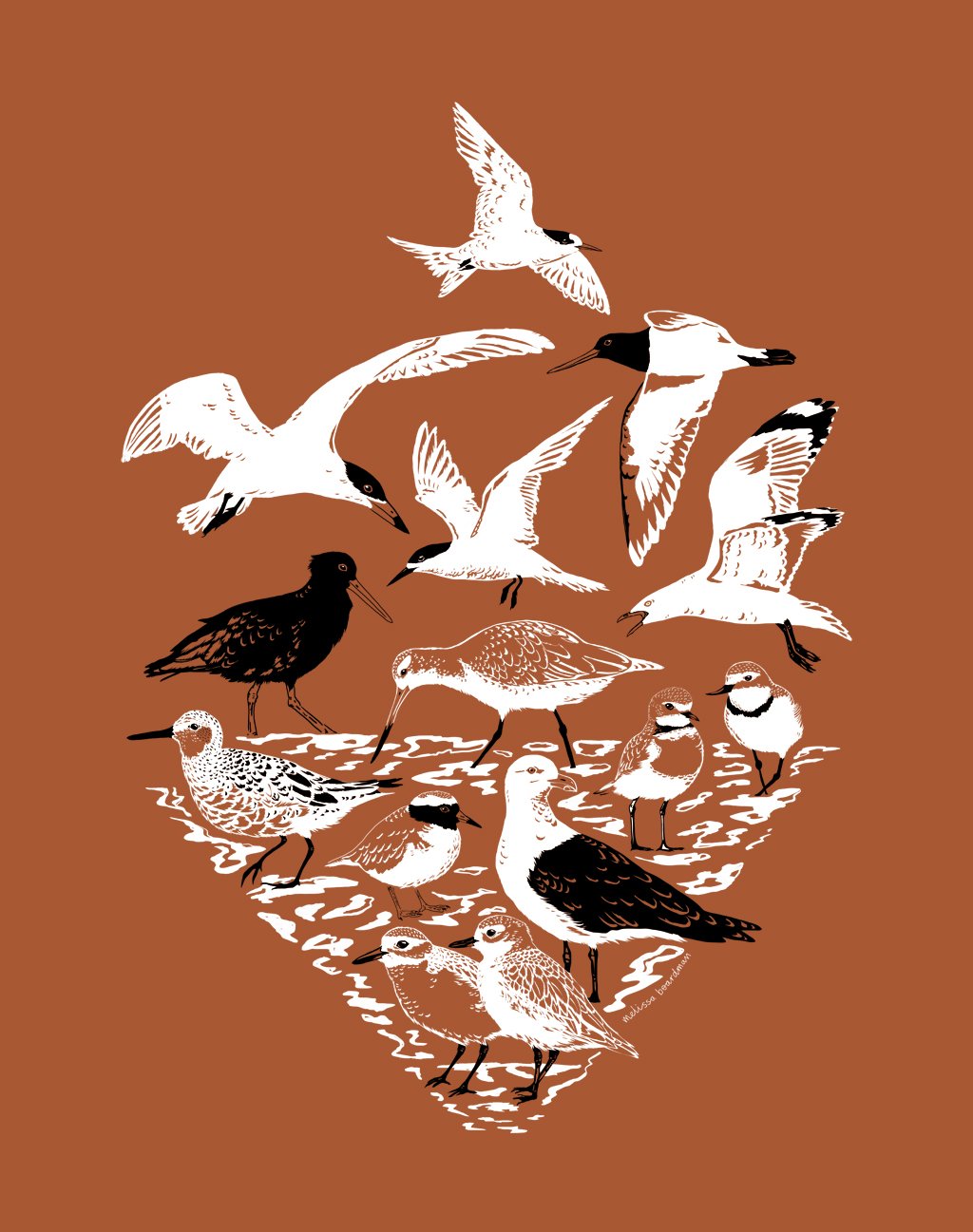 melissa boardman shorebird t-shirt 01.jpg