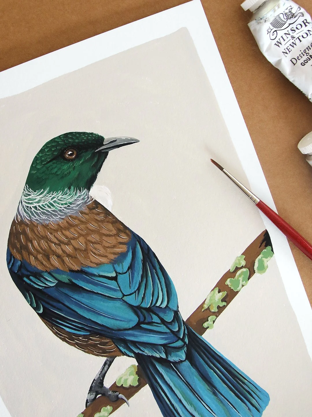 melissa boardman tui original 03.jpg