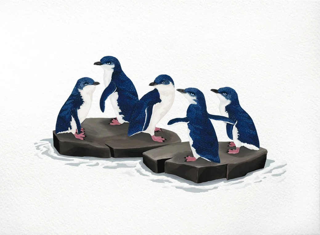 melissa boardman lbp 03.jpg