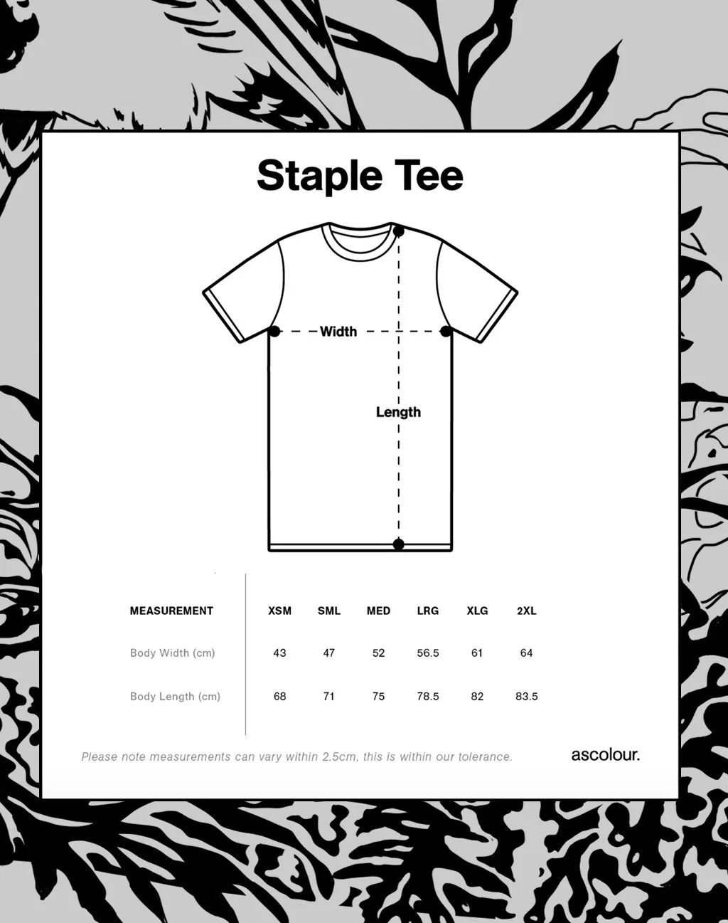 melissa boardman robin tee mens 04.jpg