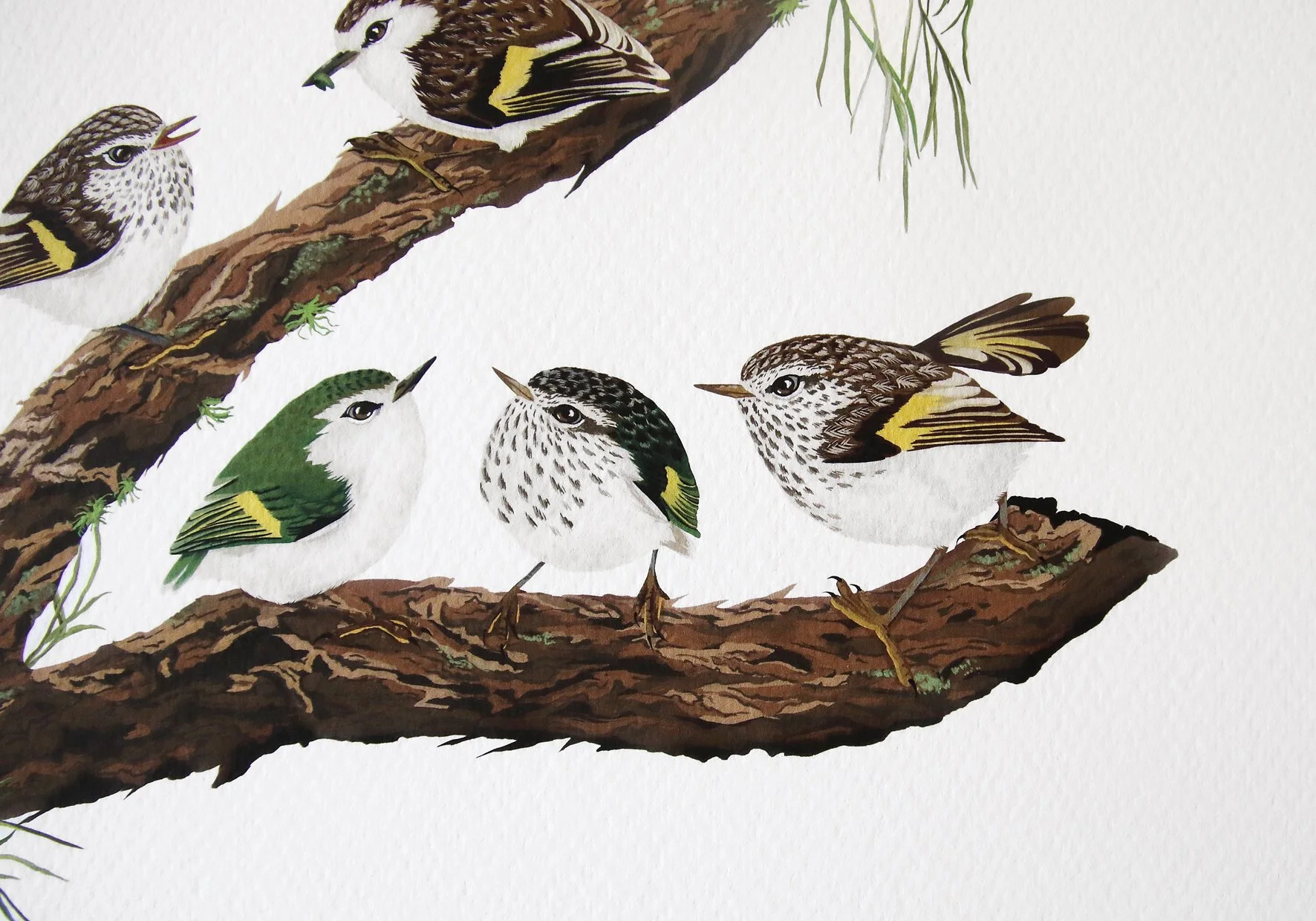 melissa boardman ttp family print 02 closeup.jpg