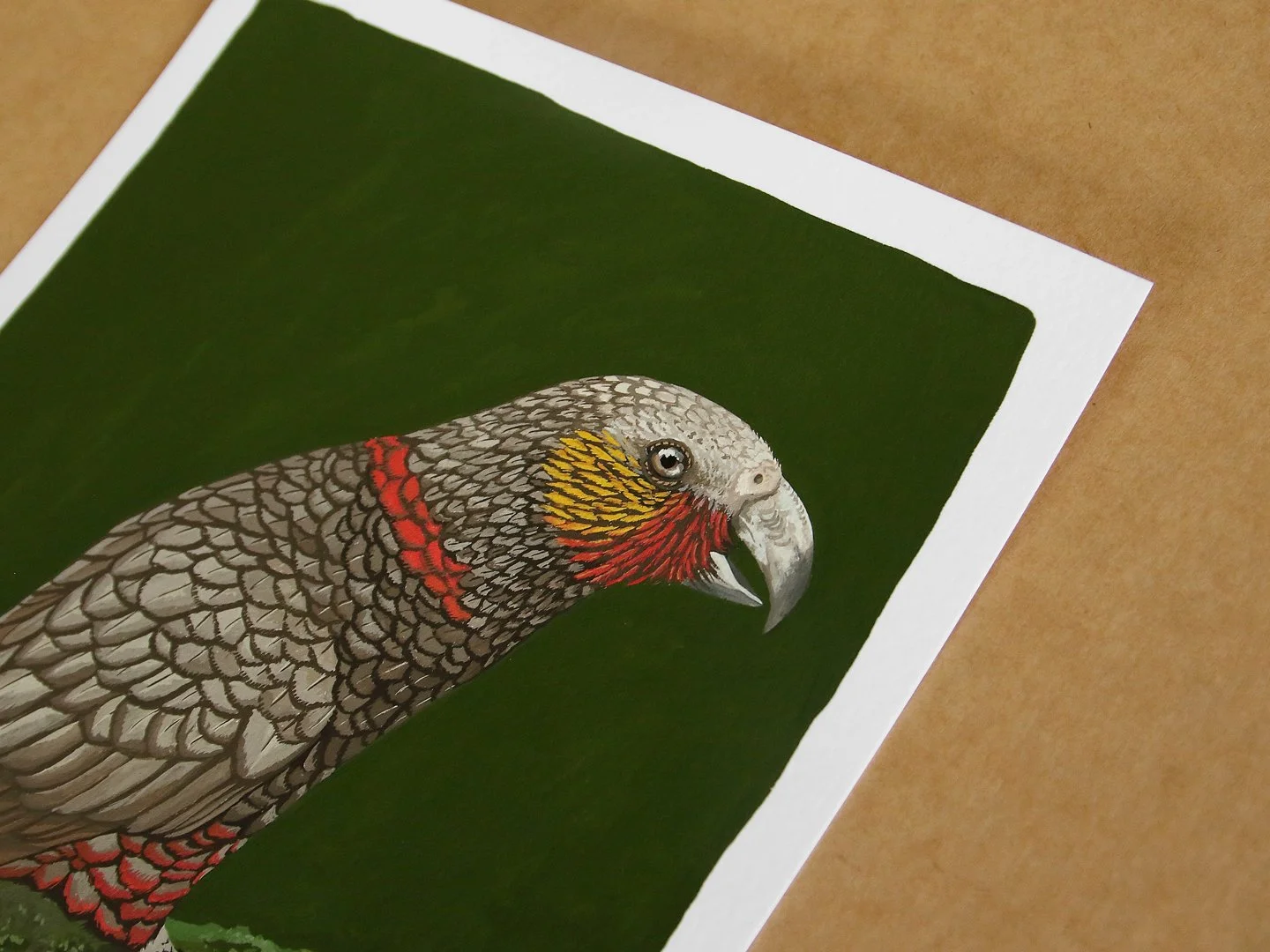 melissa boardman kaka original 01.jpg