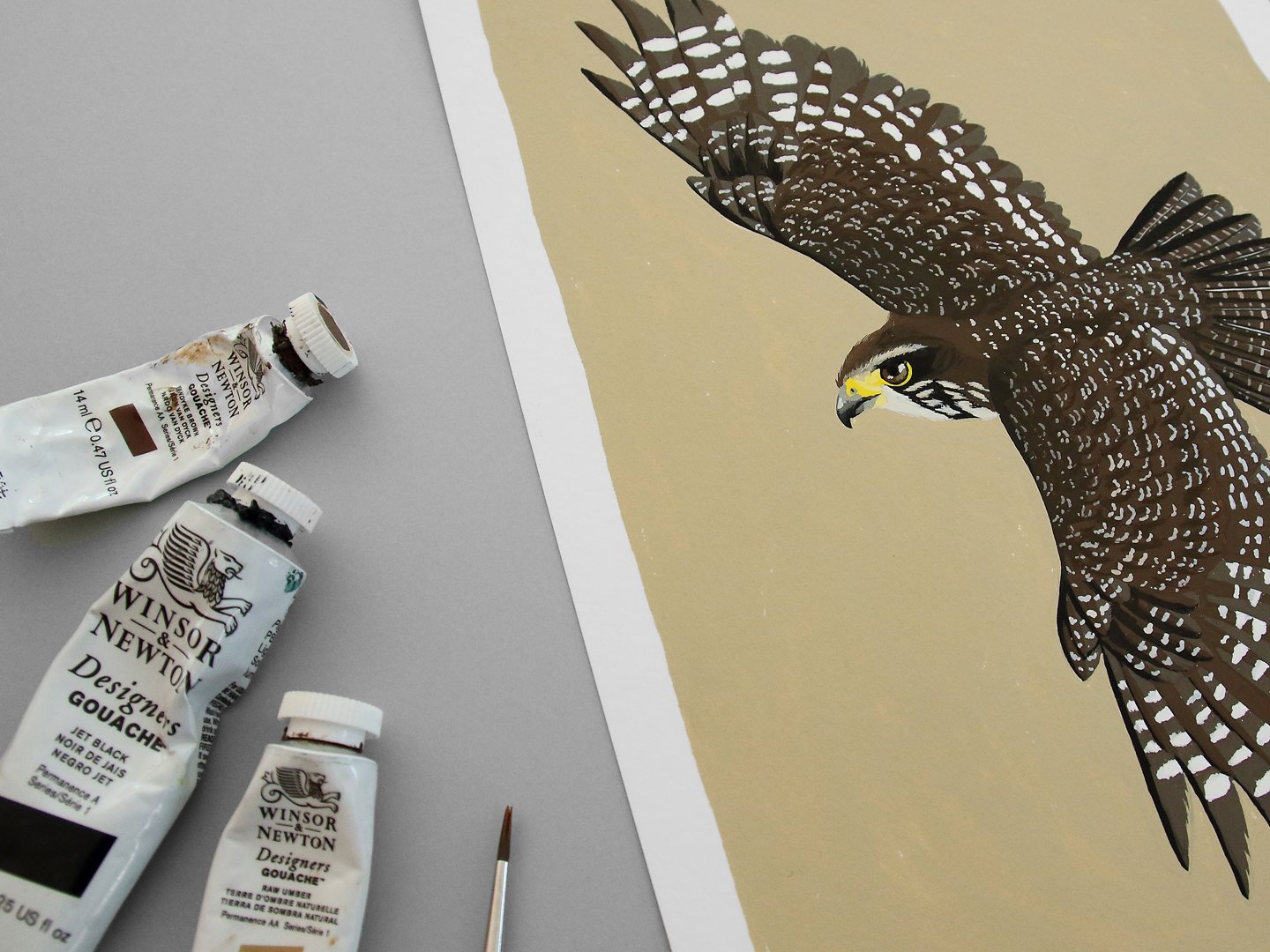 melissa boardman falcon original 02.jpg