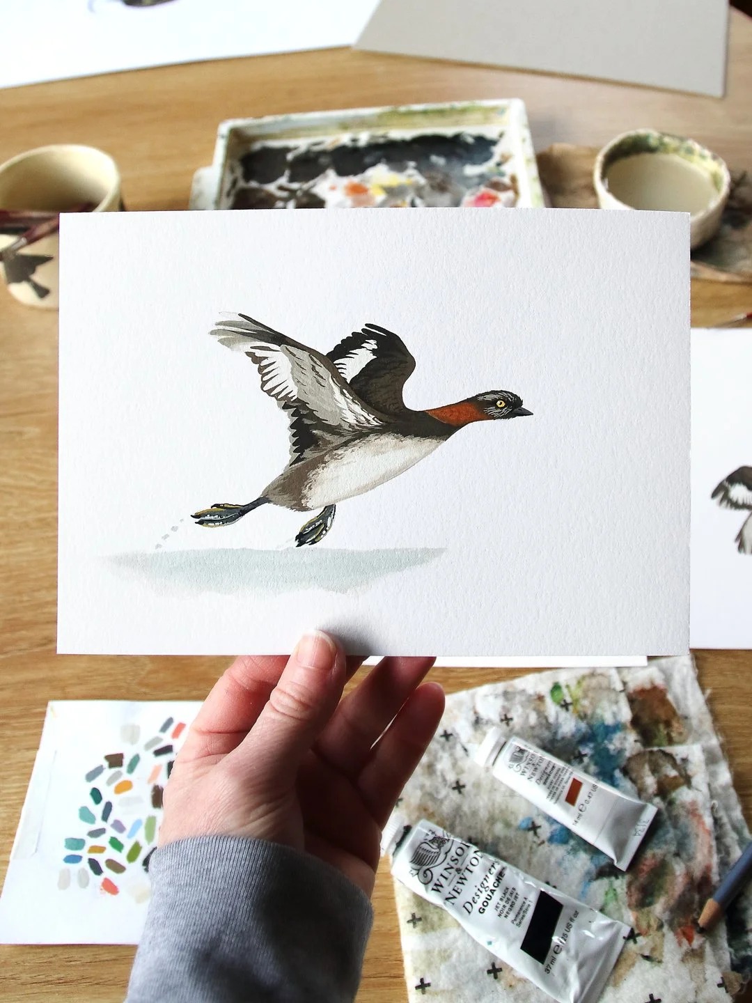 melissa boardman dabchick flying trio 01.jpg