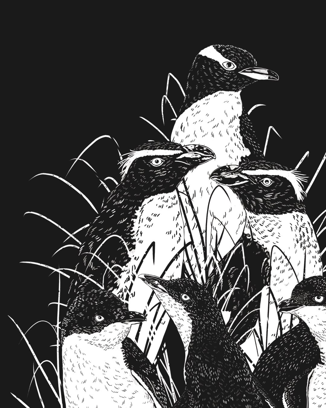 melissa boardman penguin tee image 01.jpg