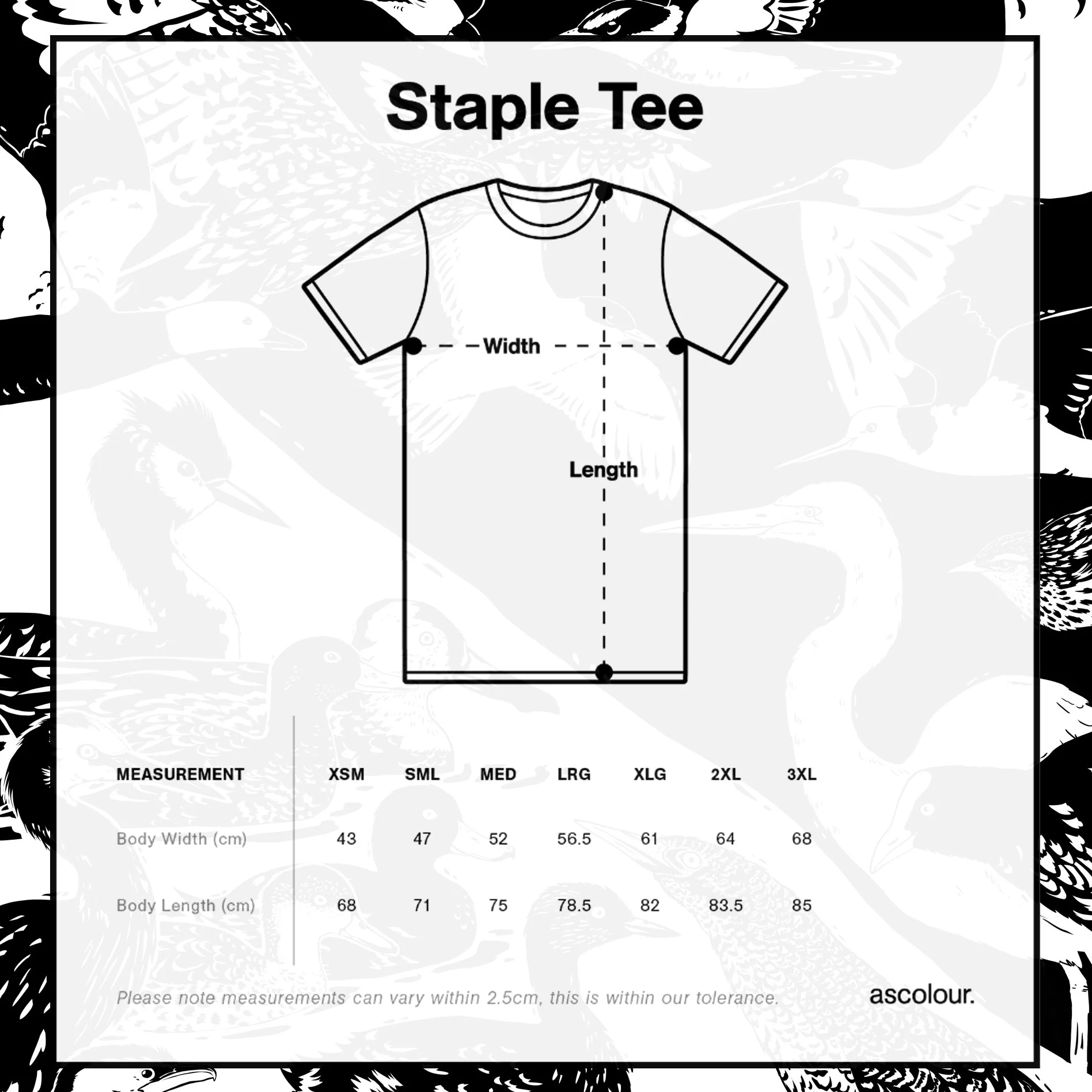melissa boardman wetland tee mens mineral 03.jpg