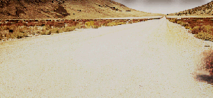 Tumbleweed.gif