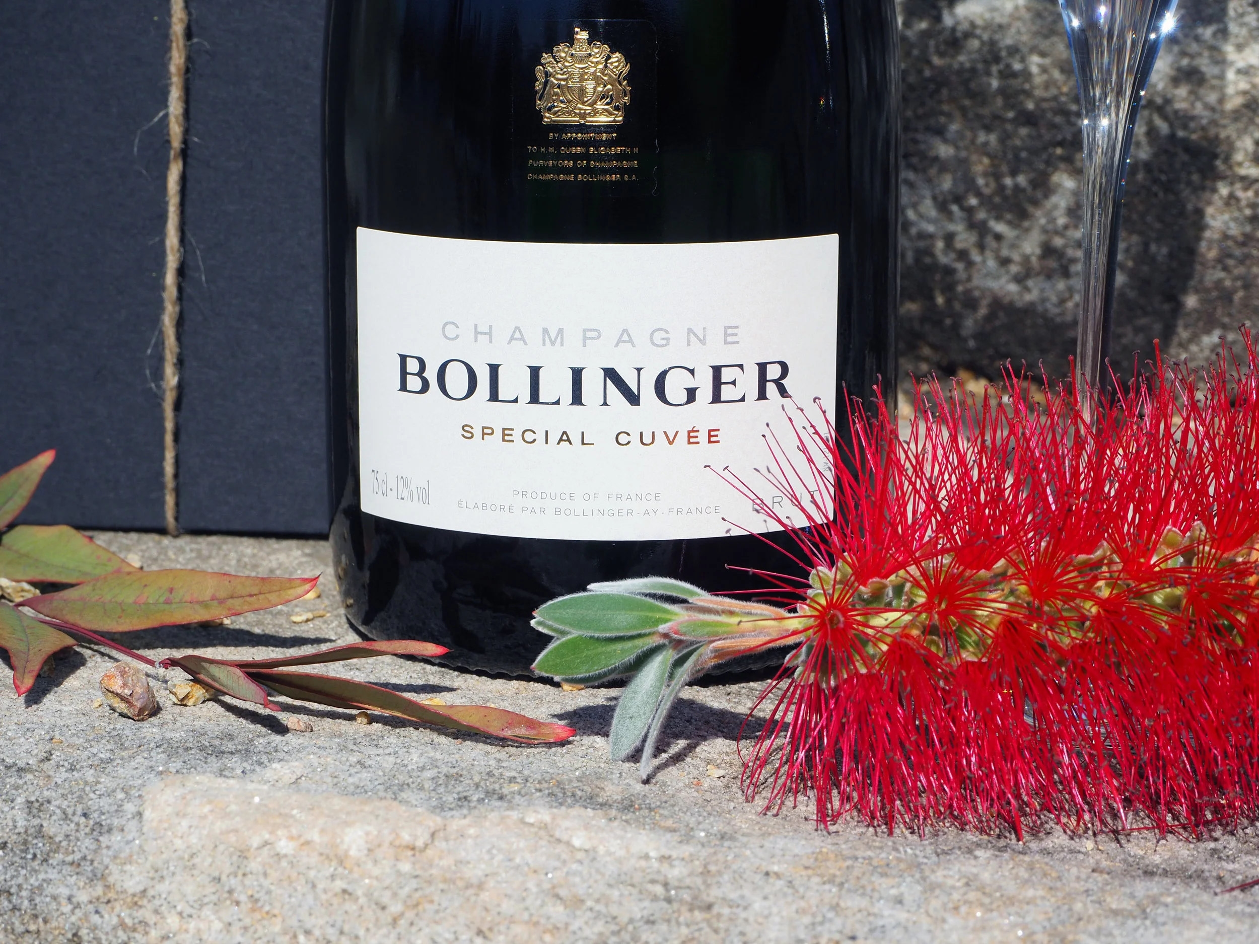 Web - buy wine image.jpg