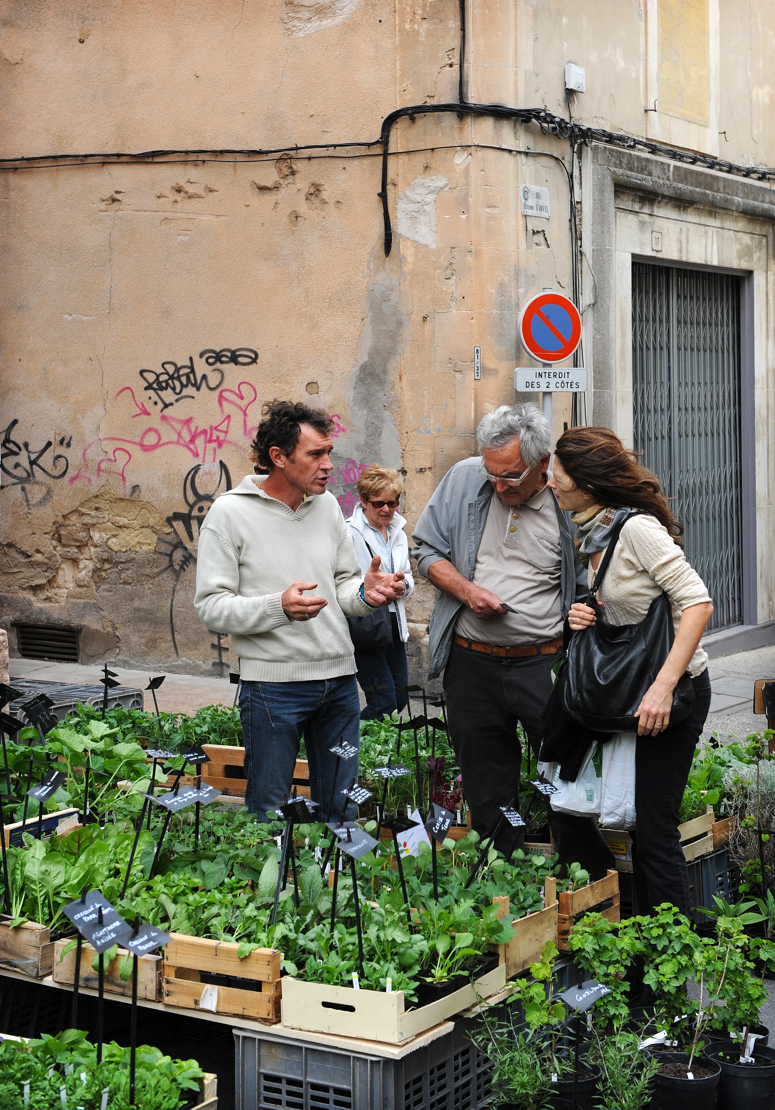 Provence, Ranska, Apt, tori, kasvit