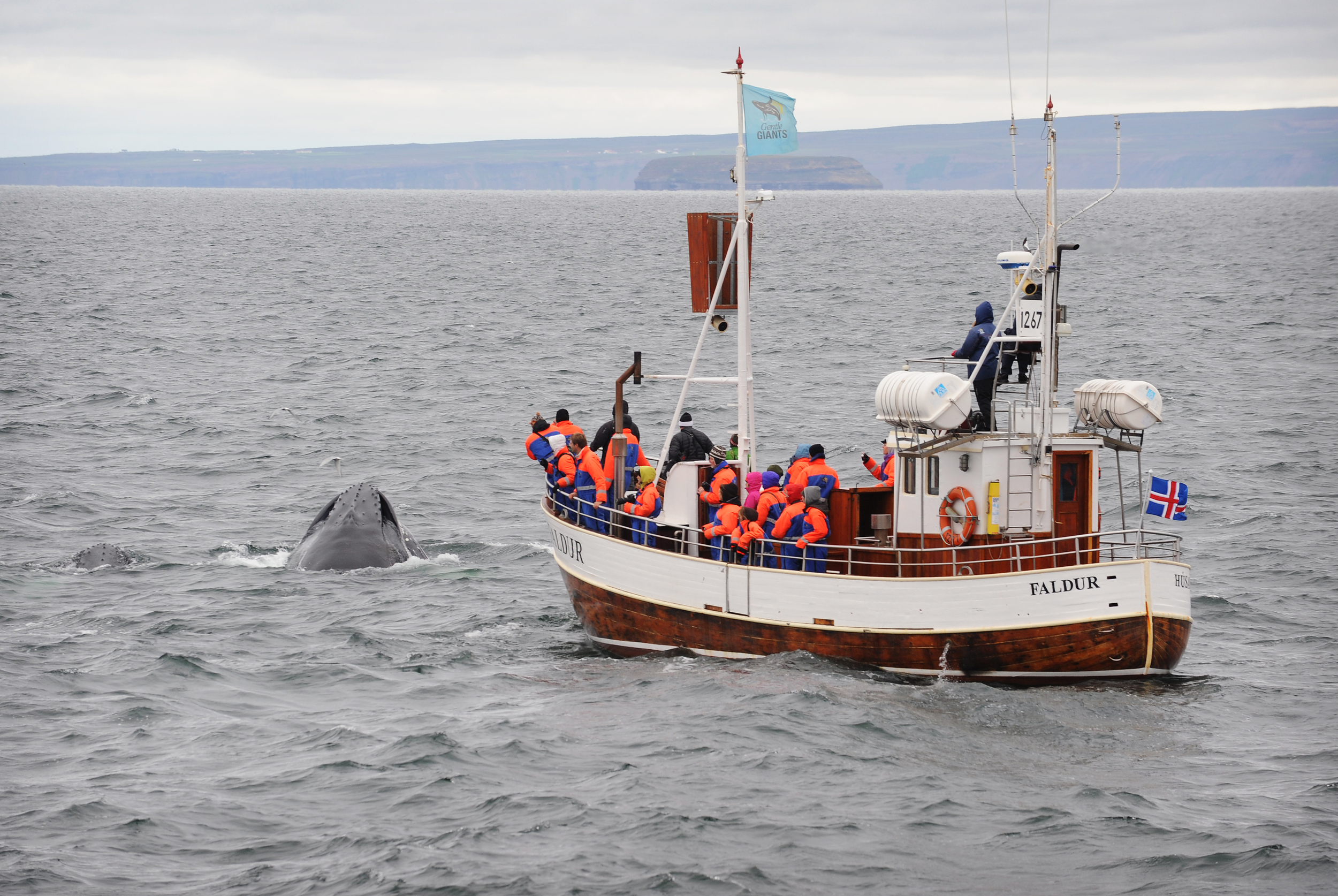 Husavik 1.jpg