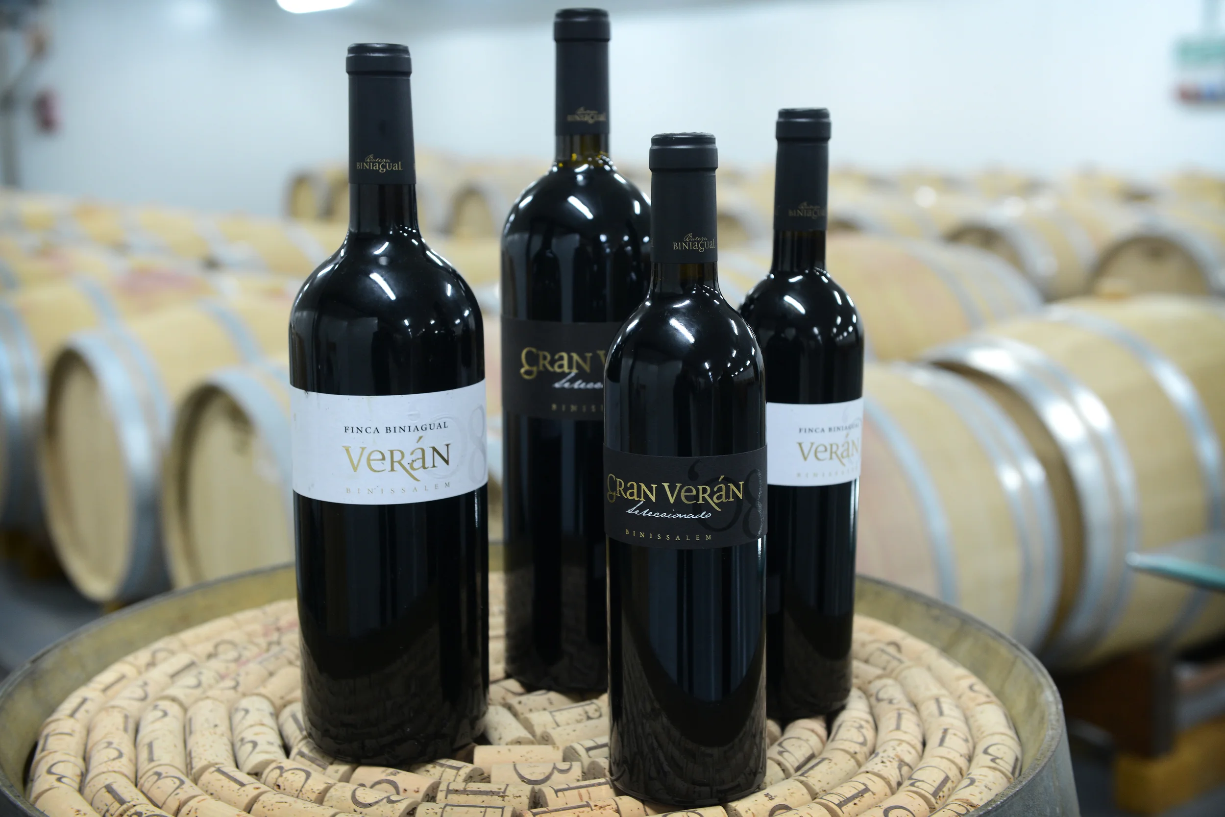 Bodega Binigual 2.jpg