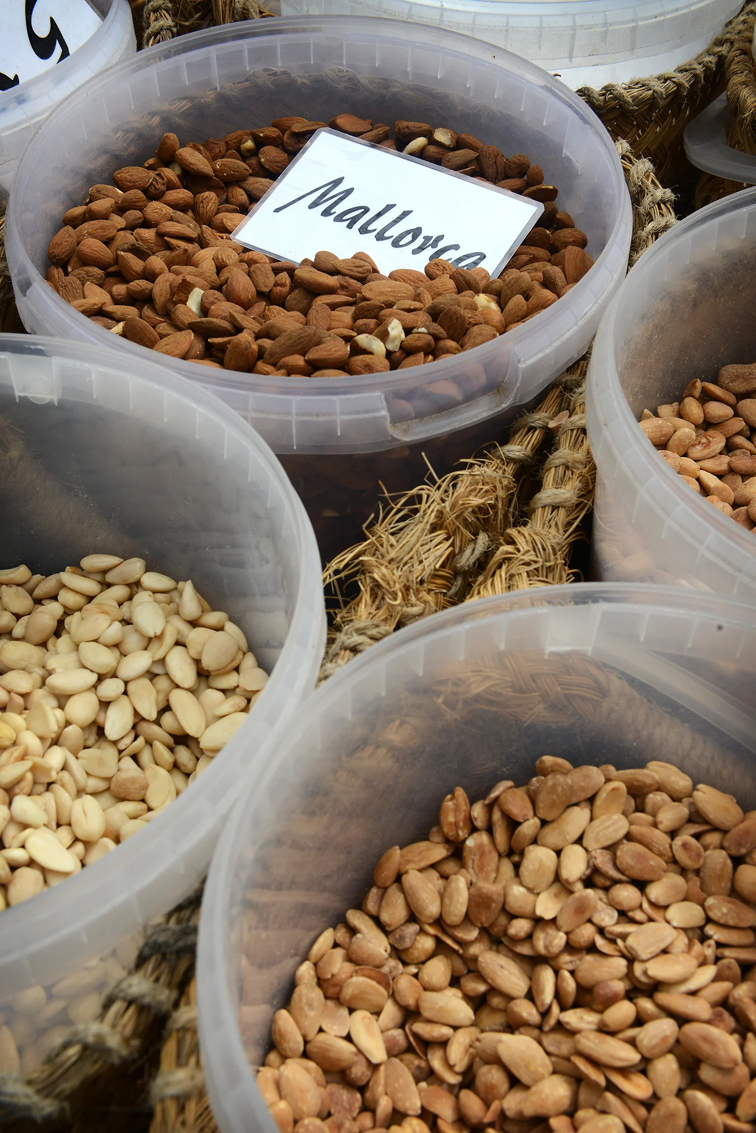 Mallorca, Espanja, Baleaarit, Välimeri, vuoristo, Soller, matka, matkailu, loma, manteli