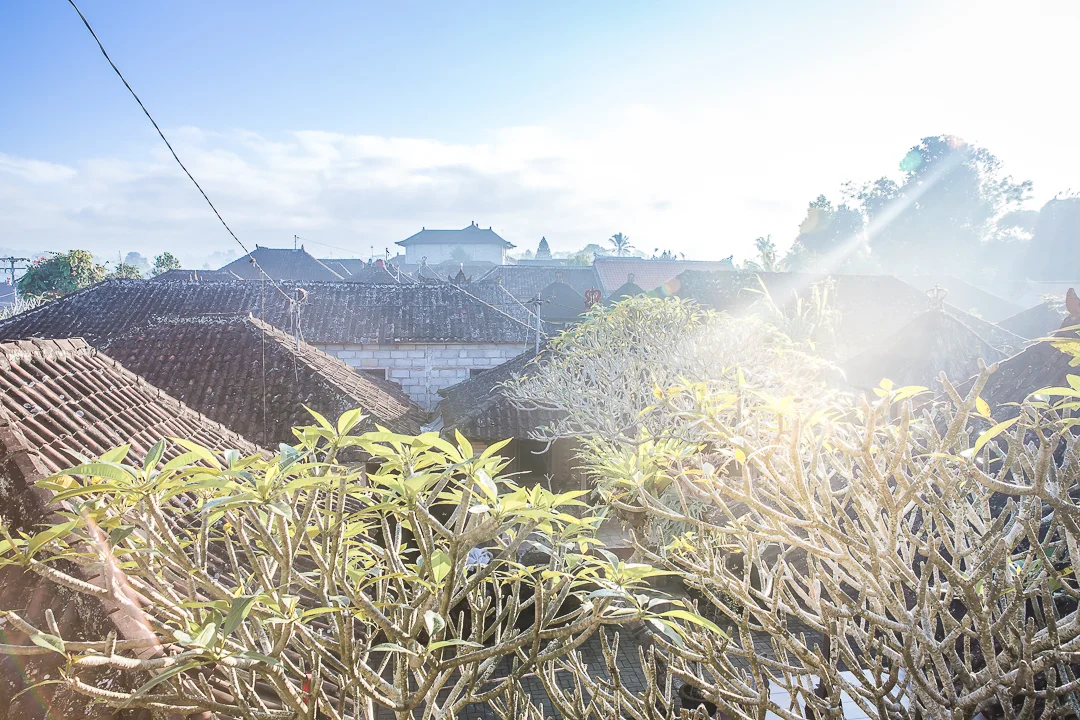 IMG_2692_Bali.jpg