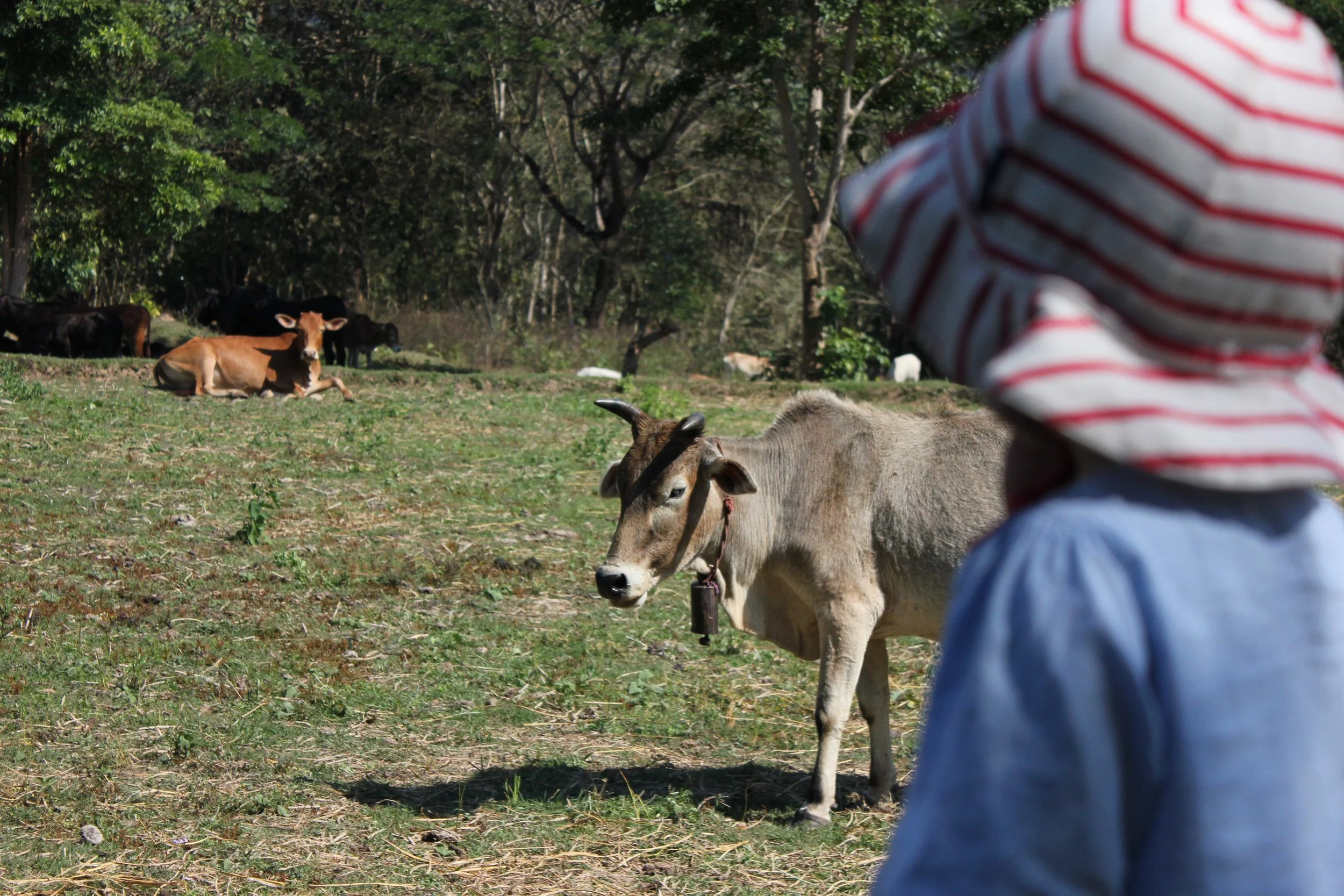 The daughter of Lauri and Duara co-founder Annika in Pong Nam Ron, Thailand